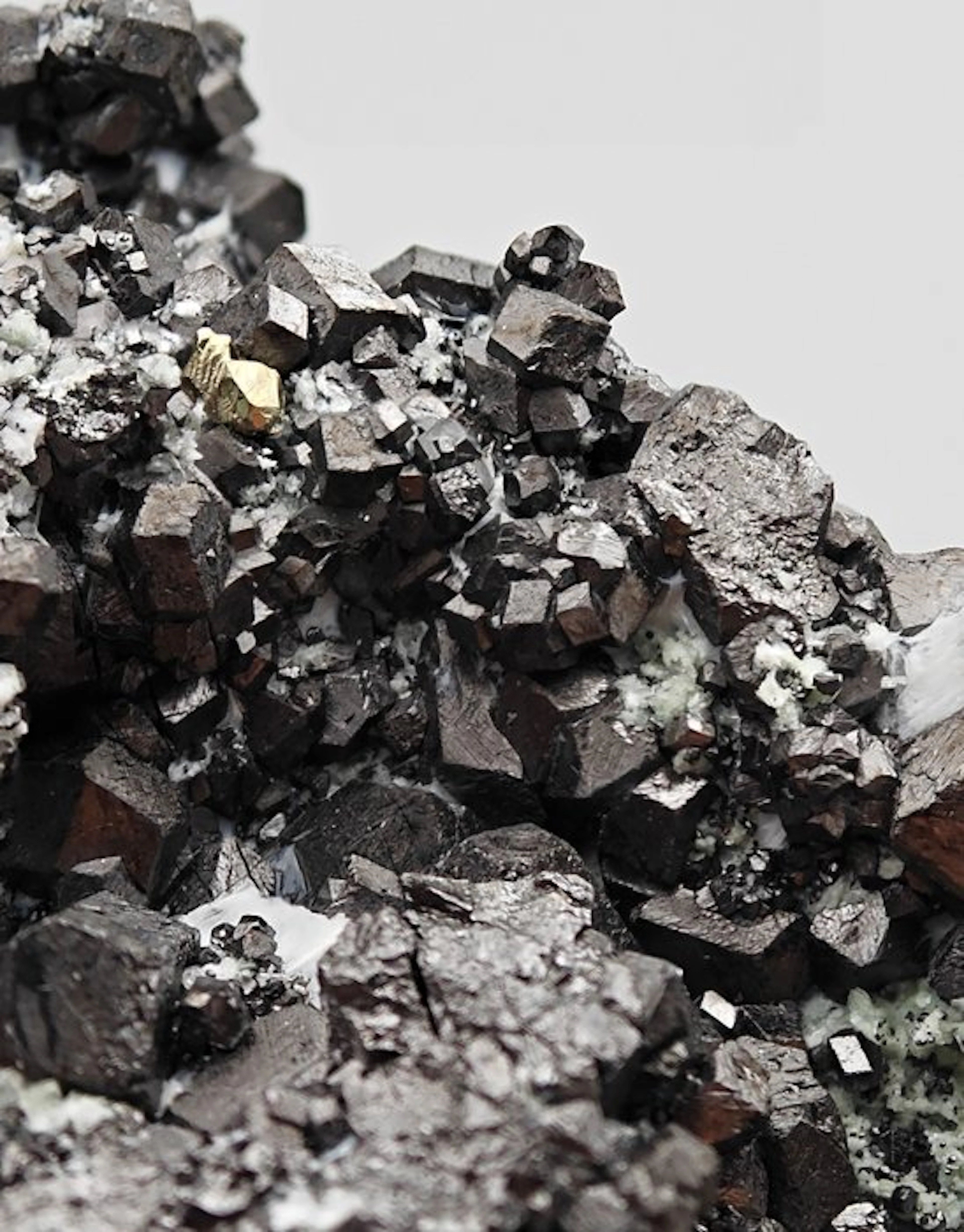 ALPINO, BLACK MAGNETITE AESTHETIC with GOLDEN PYRITE and CRYSTALLIZED TALC