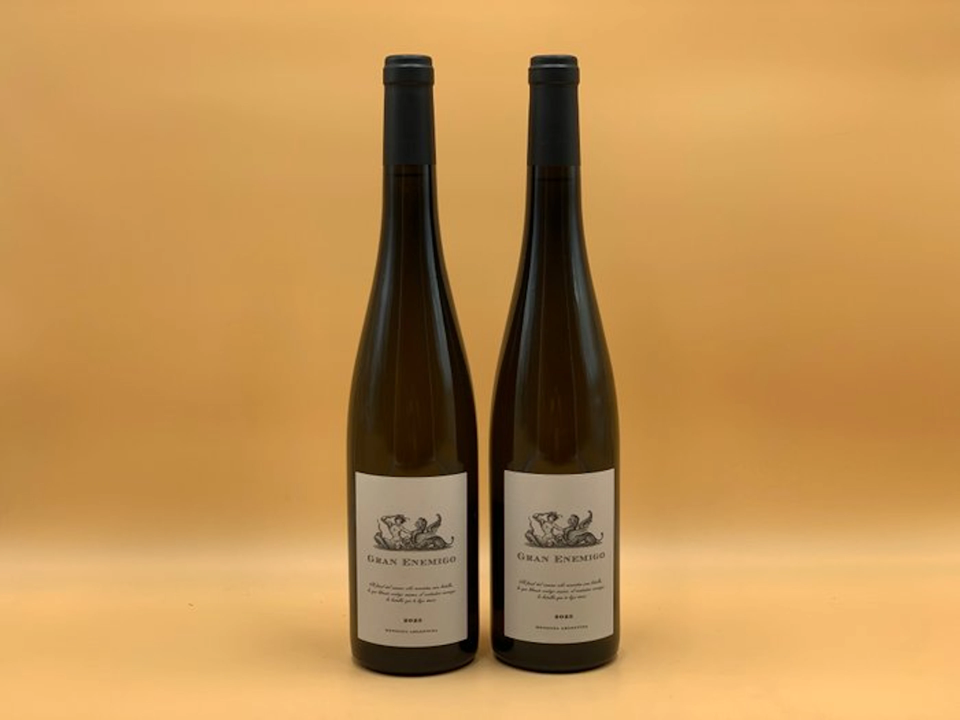 2023 Bodega Aleanna "Gran Enemigo - Torrontes" - Mendoza - 2 Bottles (0.75L)