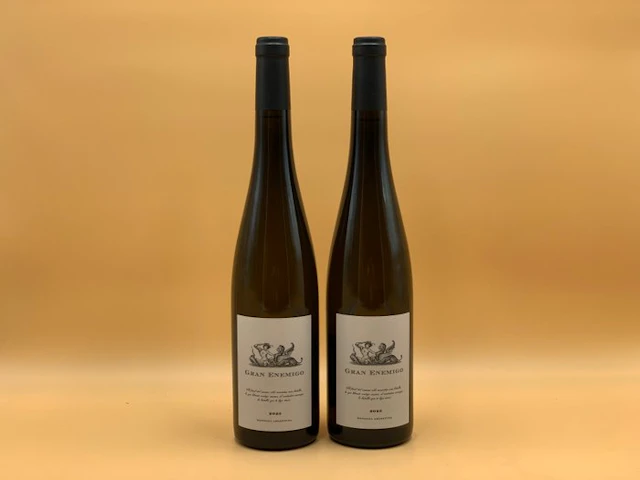 2023 Bodega Aleanna "Gran Enemigo - Torrontes" - Mendoza - 2 Bottles (0.75L)