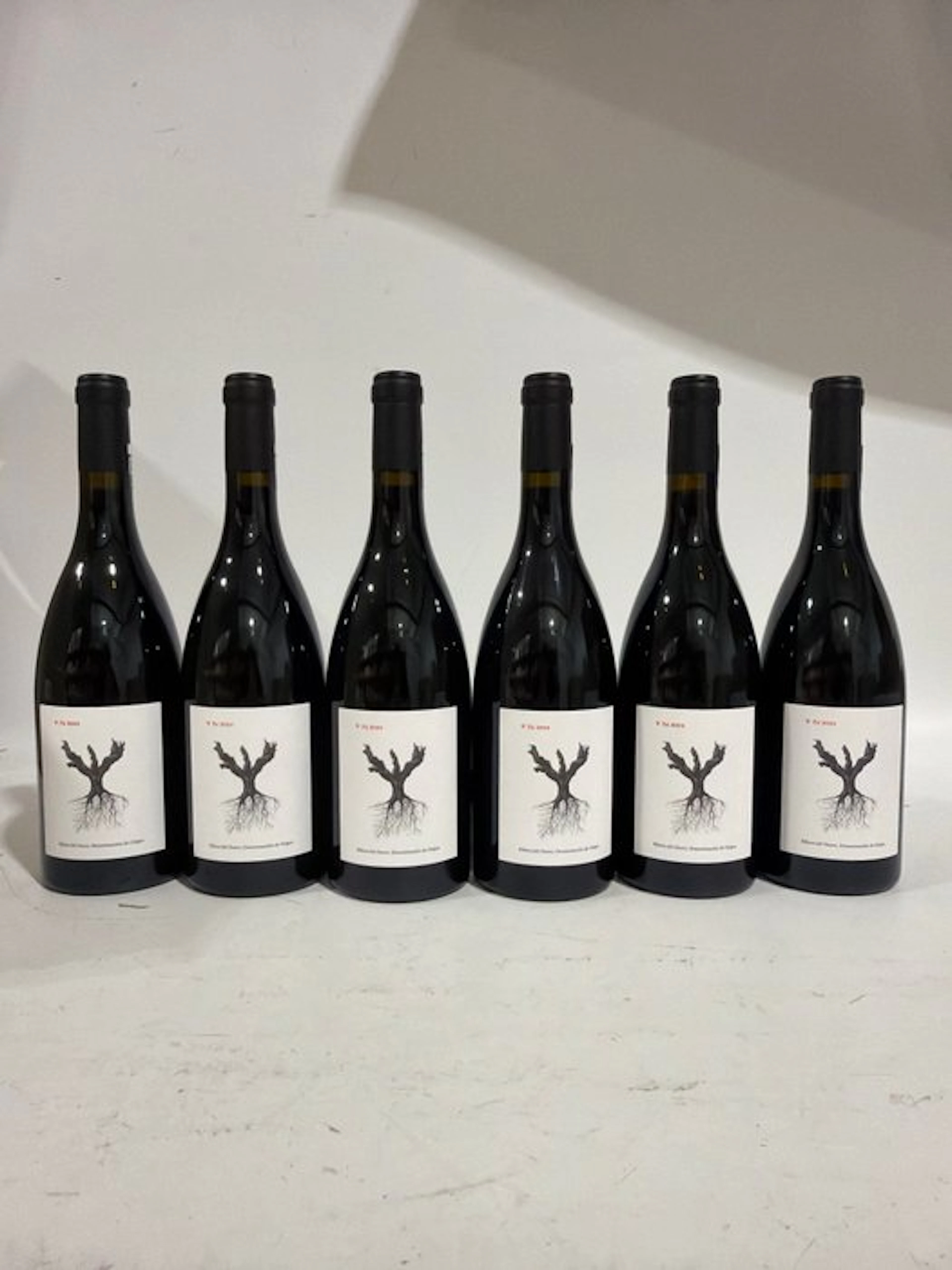 2024 PSI - Ribera del Duero - 6 Bottles (0.75L)