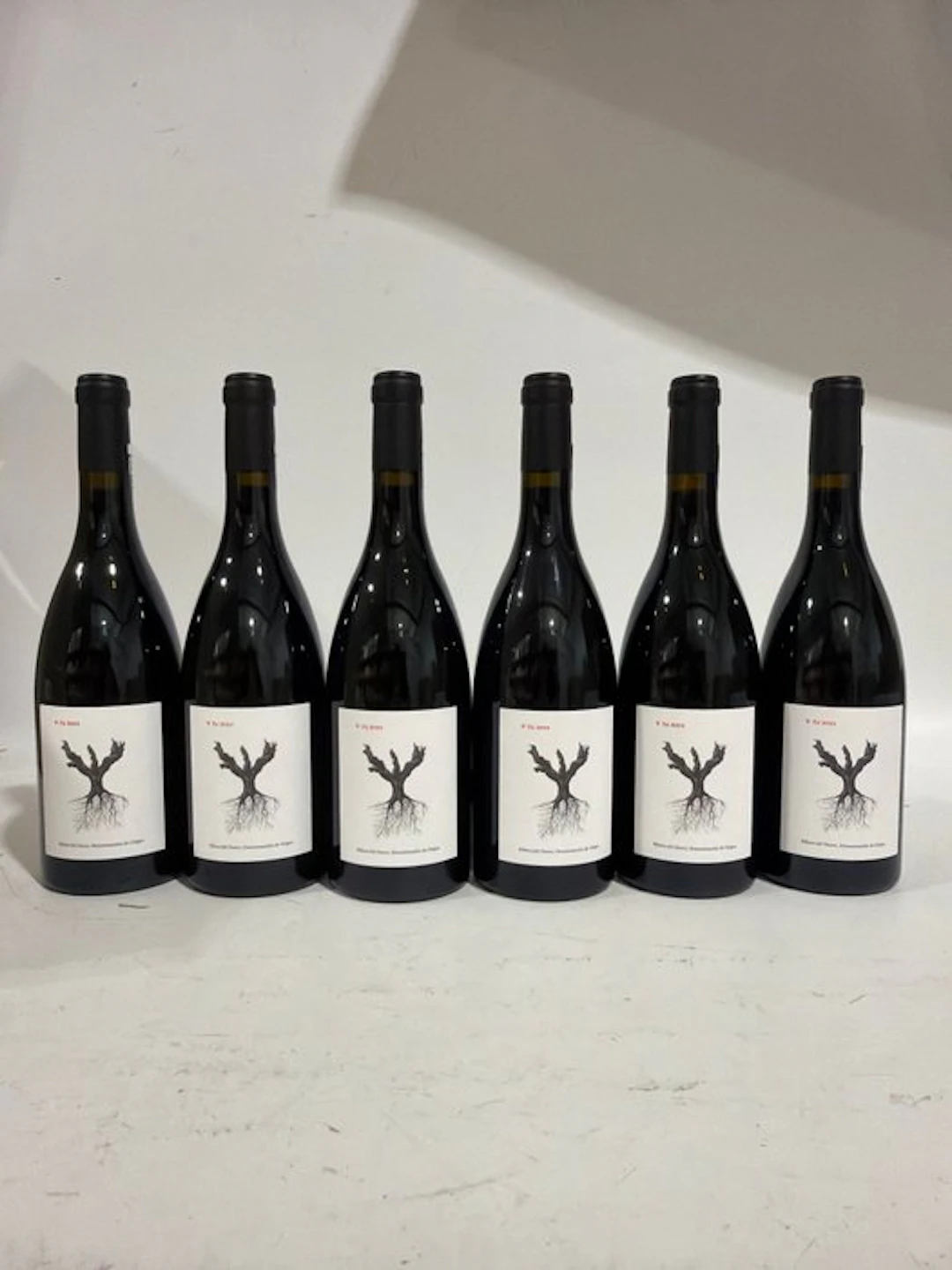 2024 PSI - Ribera del Duero - 6 Bottles (0.75L)