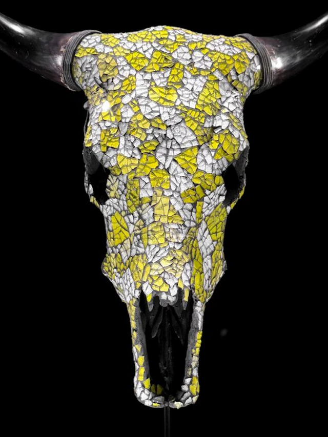 NO RESERVE PRICE - Authentic Large Cow skull with Glass...