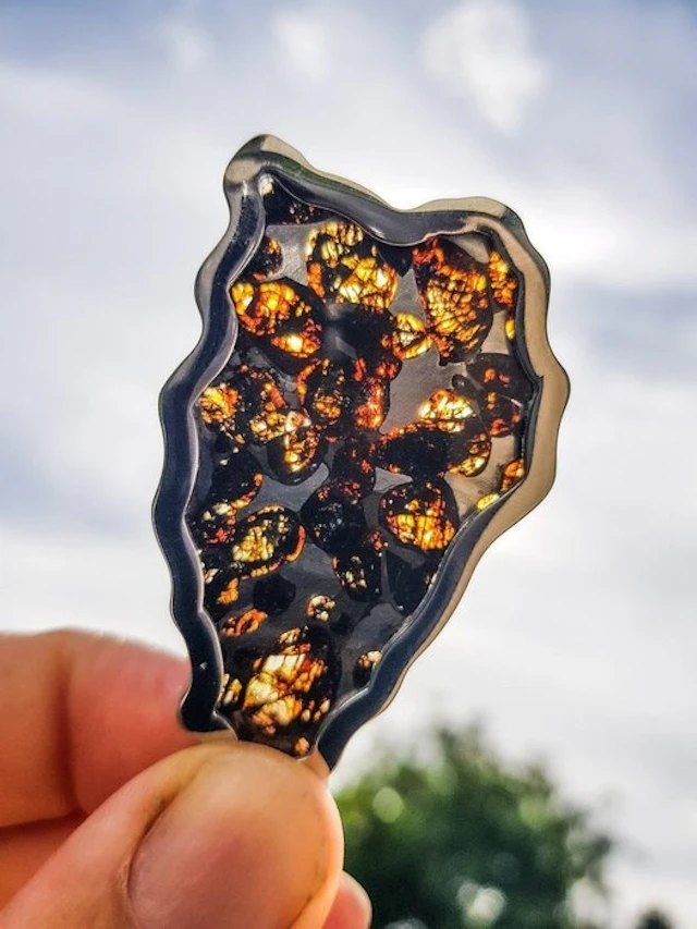 Pallasite HQ Framed Sericho Pallasite - Height: 7 cm - Width: 3.2 cm - 24 g