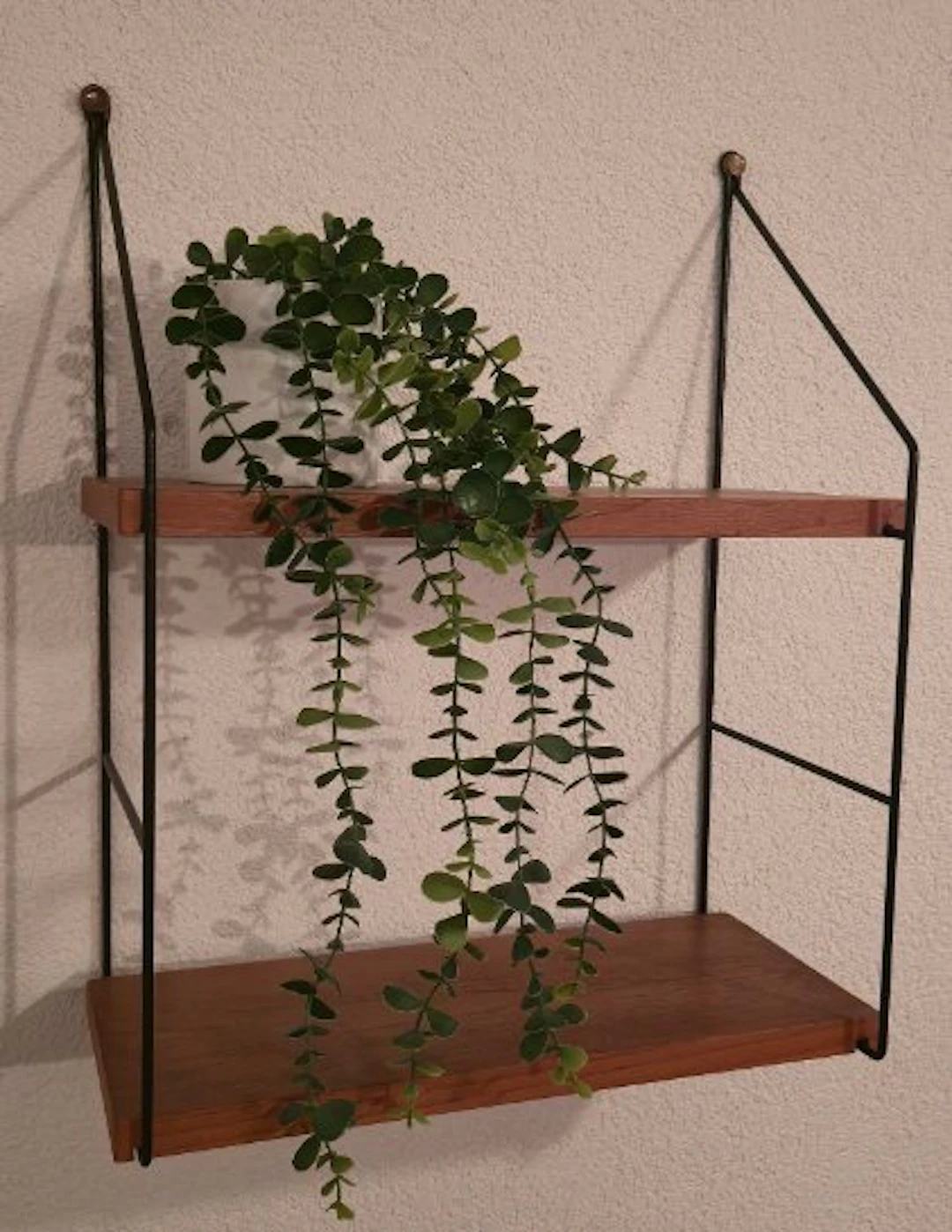 WBH - Wall shelf unit - Wood, Metal - String shelf