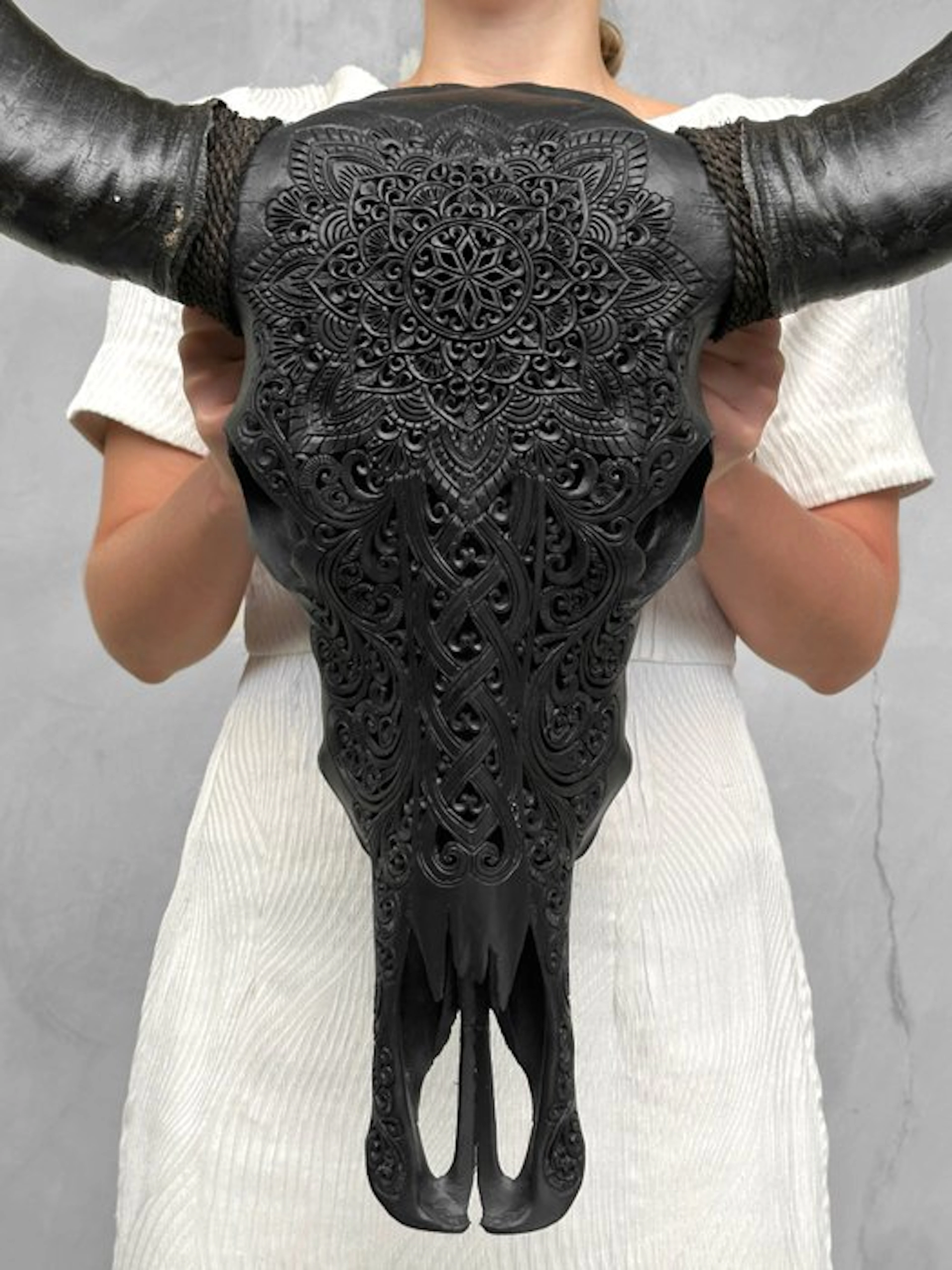 NO RESERVE PRICE - C-Authentic Large Black Water Buffalo...