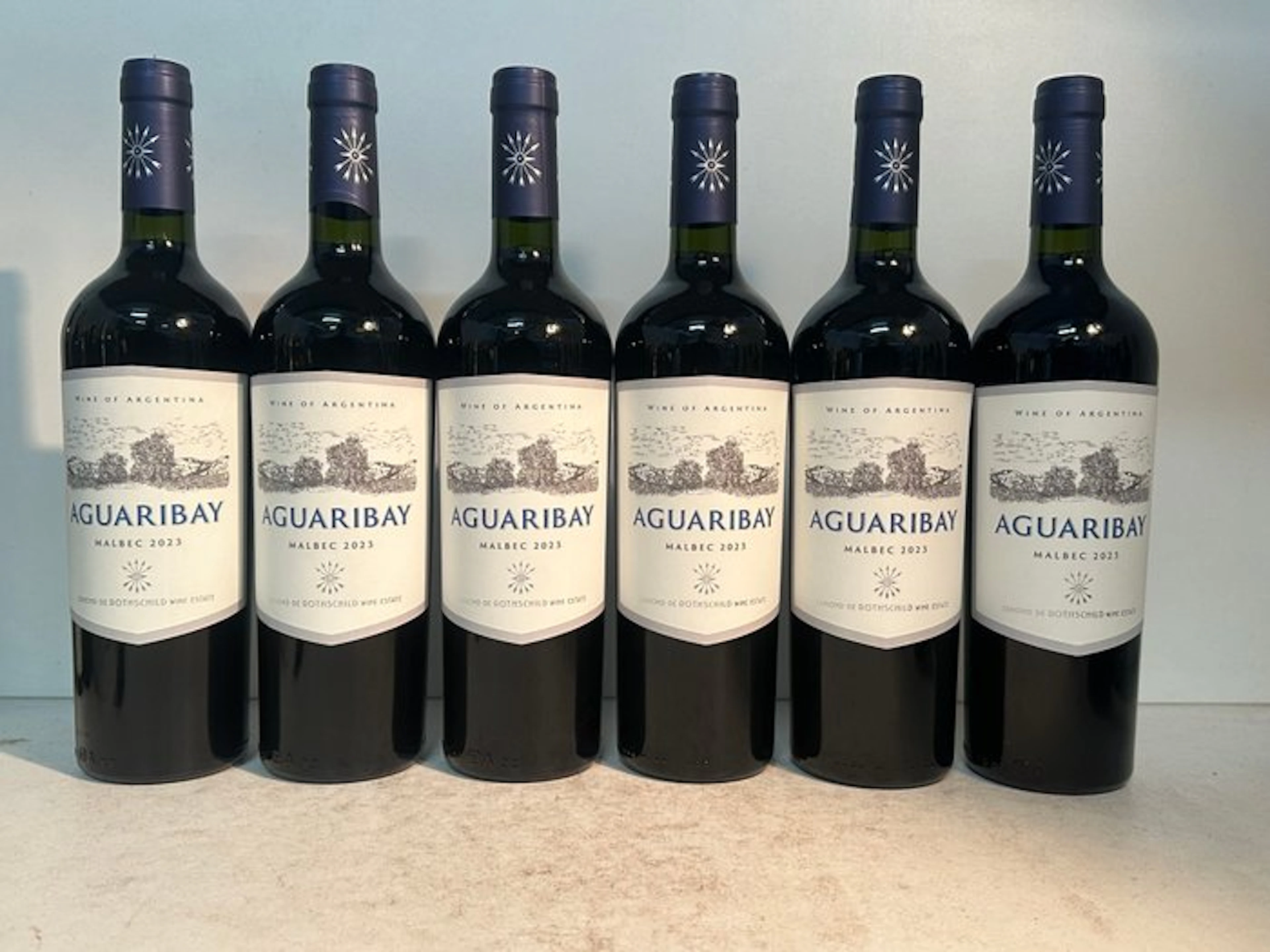 2023 Aguaribay Malbec Edmond de Rothschild - Uco Valley - 6 Bottles (0.75L)