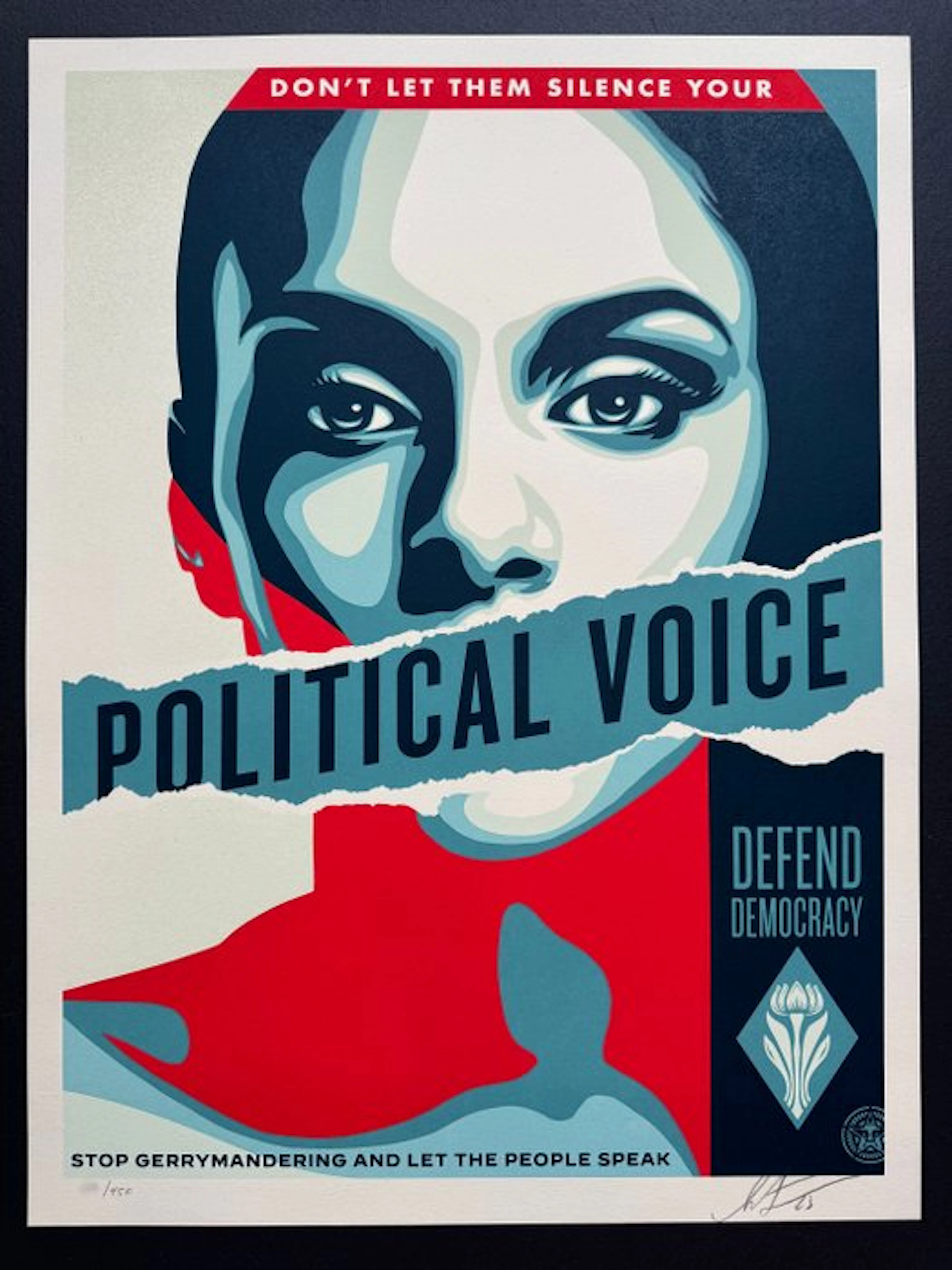 Shepard Fairey (OBEY) (1970) - Political Voice