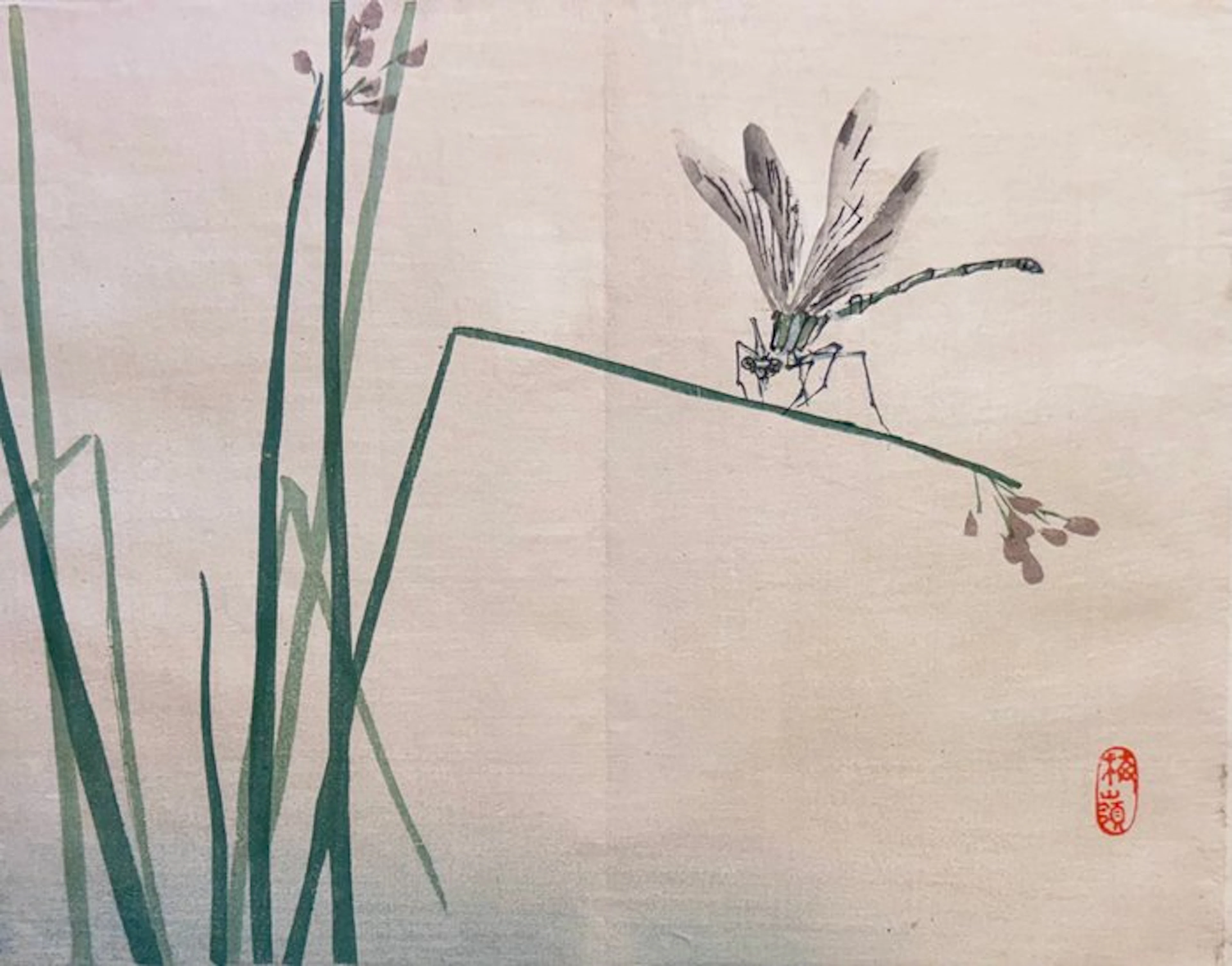 Dragon fly - Kōno Bairei (1844-1895) - Japan - Meiji period (1868-1912)