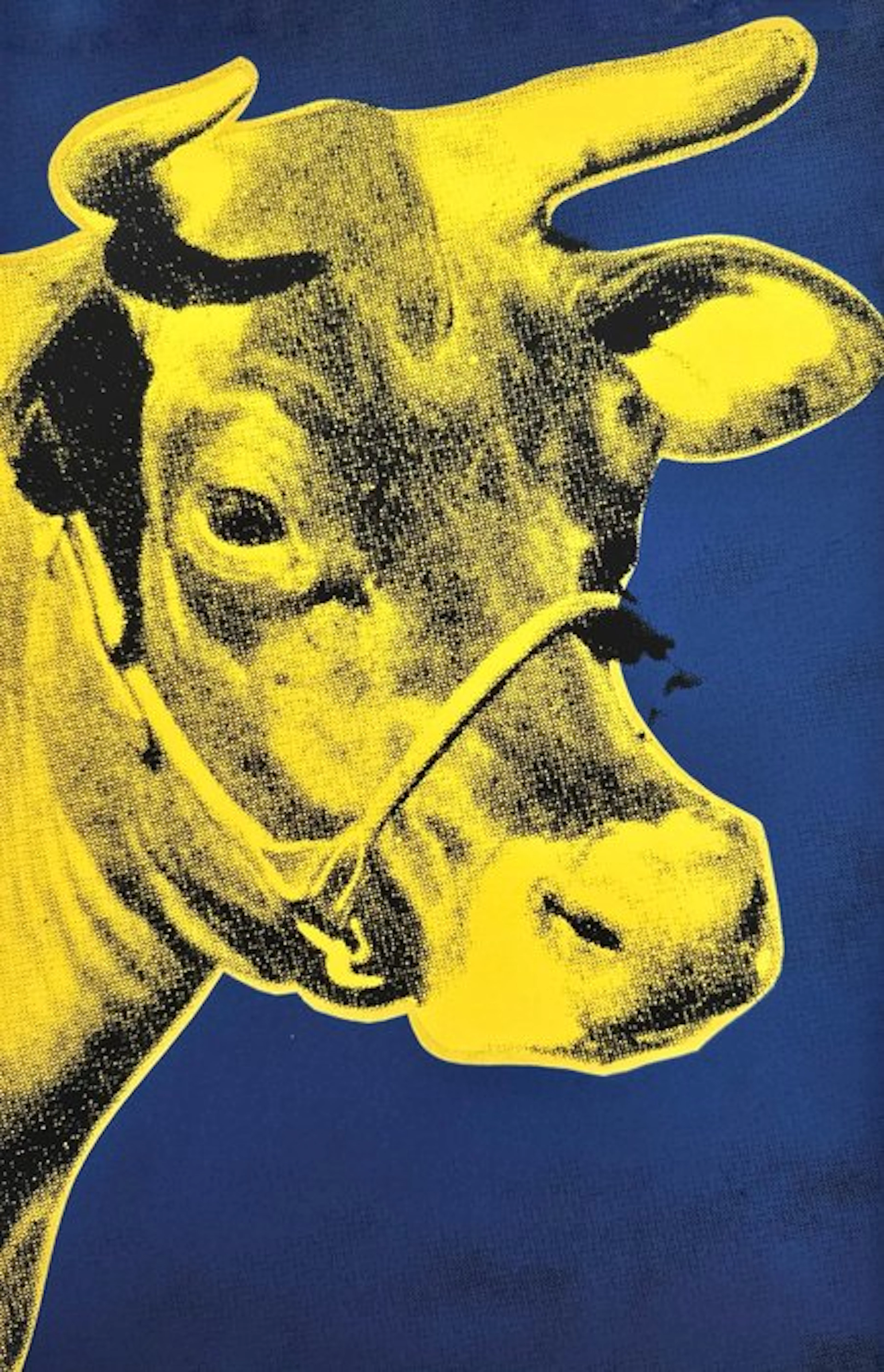Andy Warhol (after) - Cow (blue and yellow) - Offset...