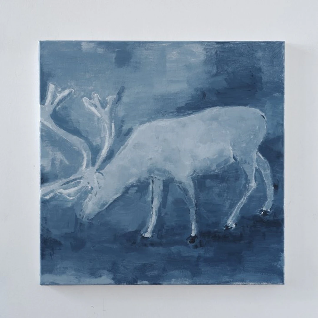 Matthieu van Riel - Reindeer