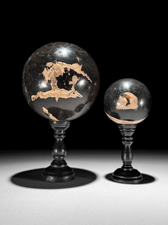 Wonderful Pair of Petrified Wood Spheres on custom stands...