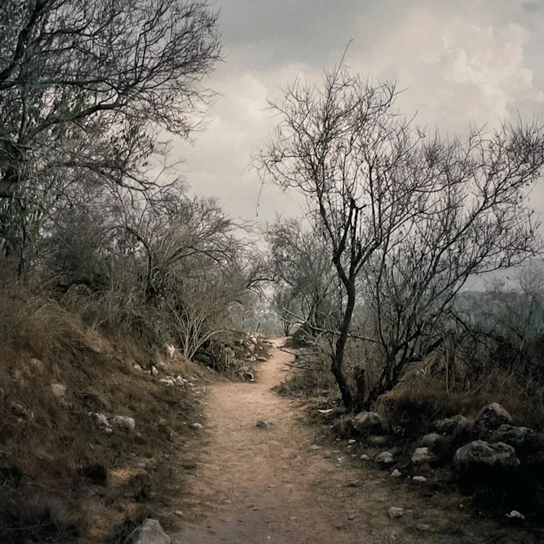 Bruno Fert (1971) - Sûbâ - Le Chemin - N 31°47’5’’ E 35°7’26’’ 07.1948