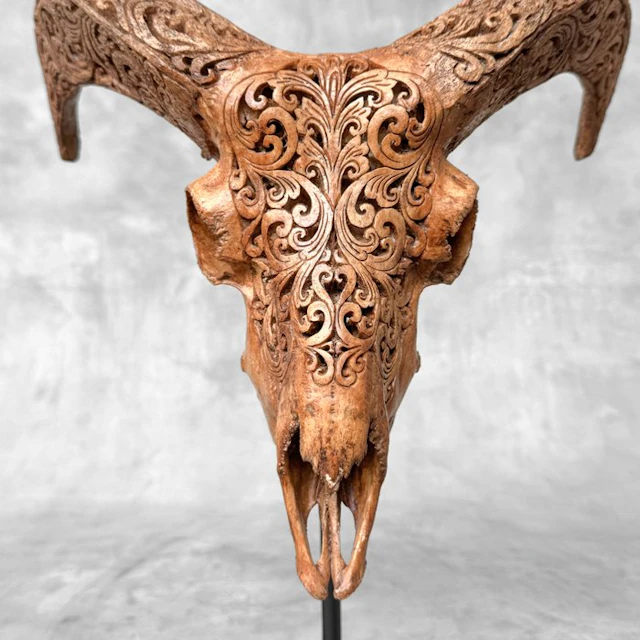 NO RESERVE PRICE - Brown Carved Ram Skull with Carved...