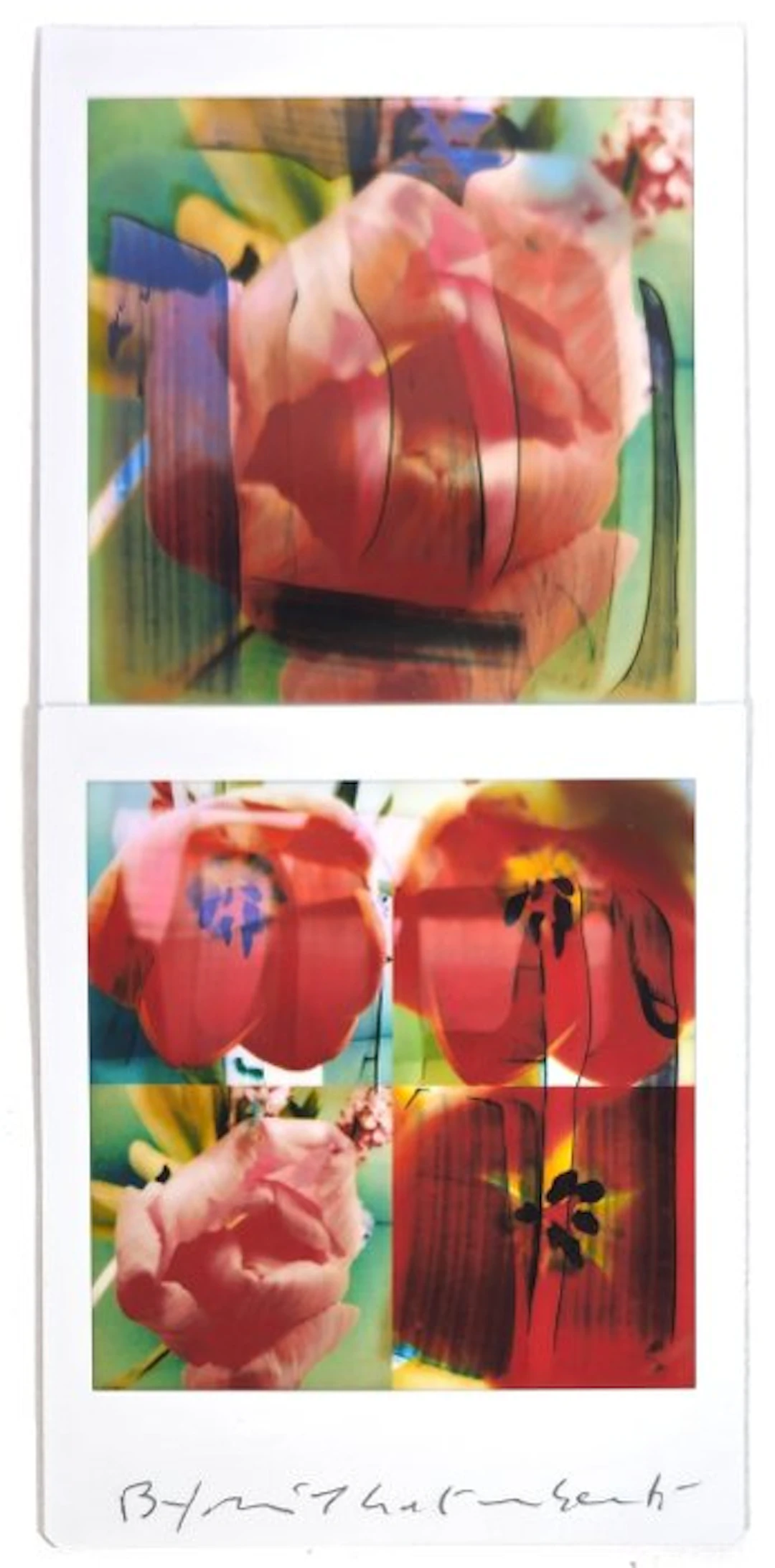 Maurizio Galimberti (1956–) - BiFlowers - 11557