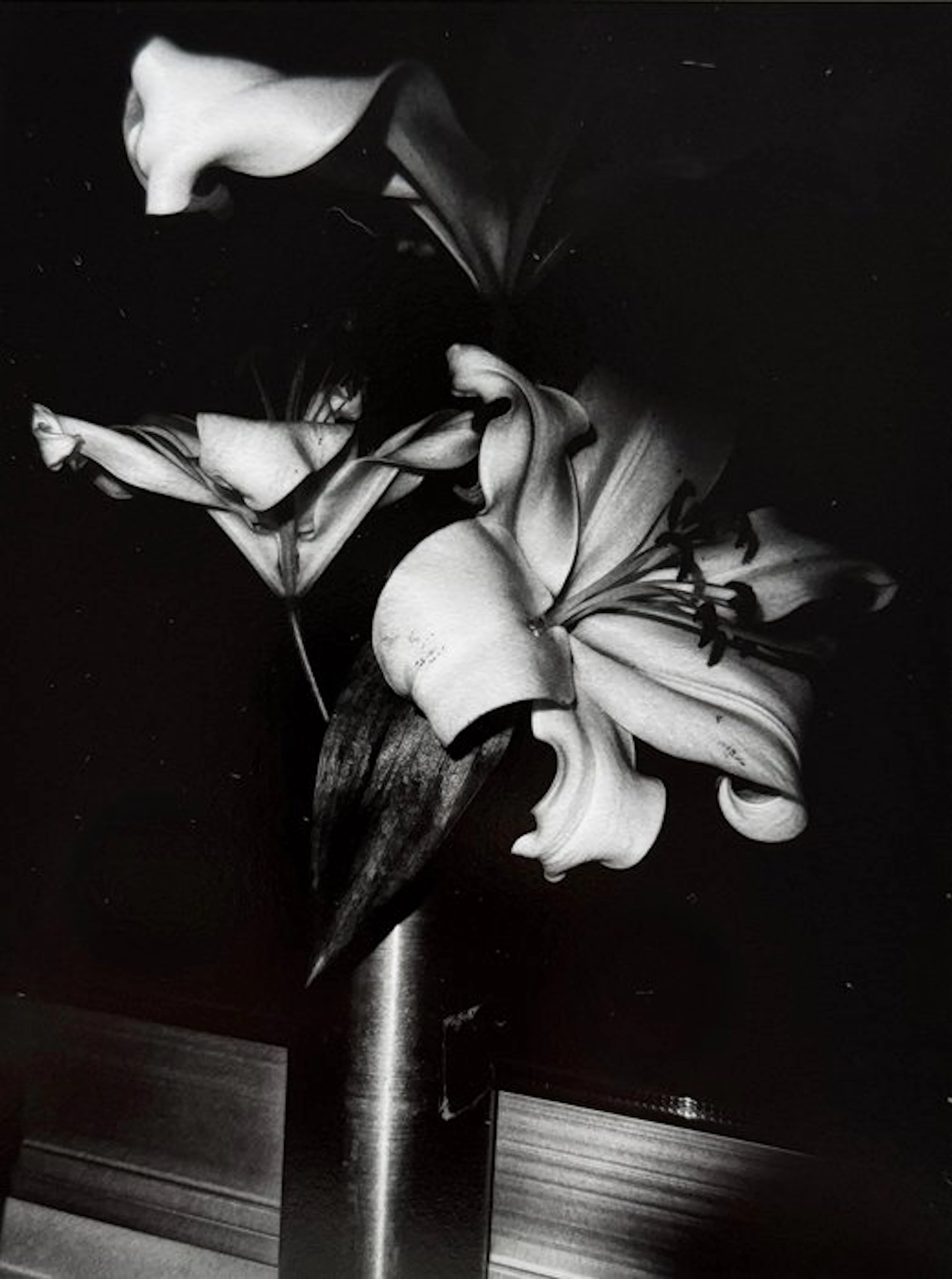 Daido Moriyama (1938) - Flower
