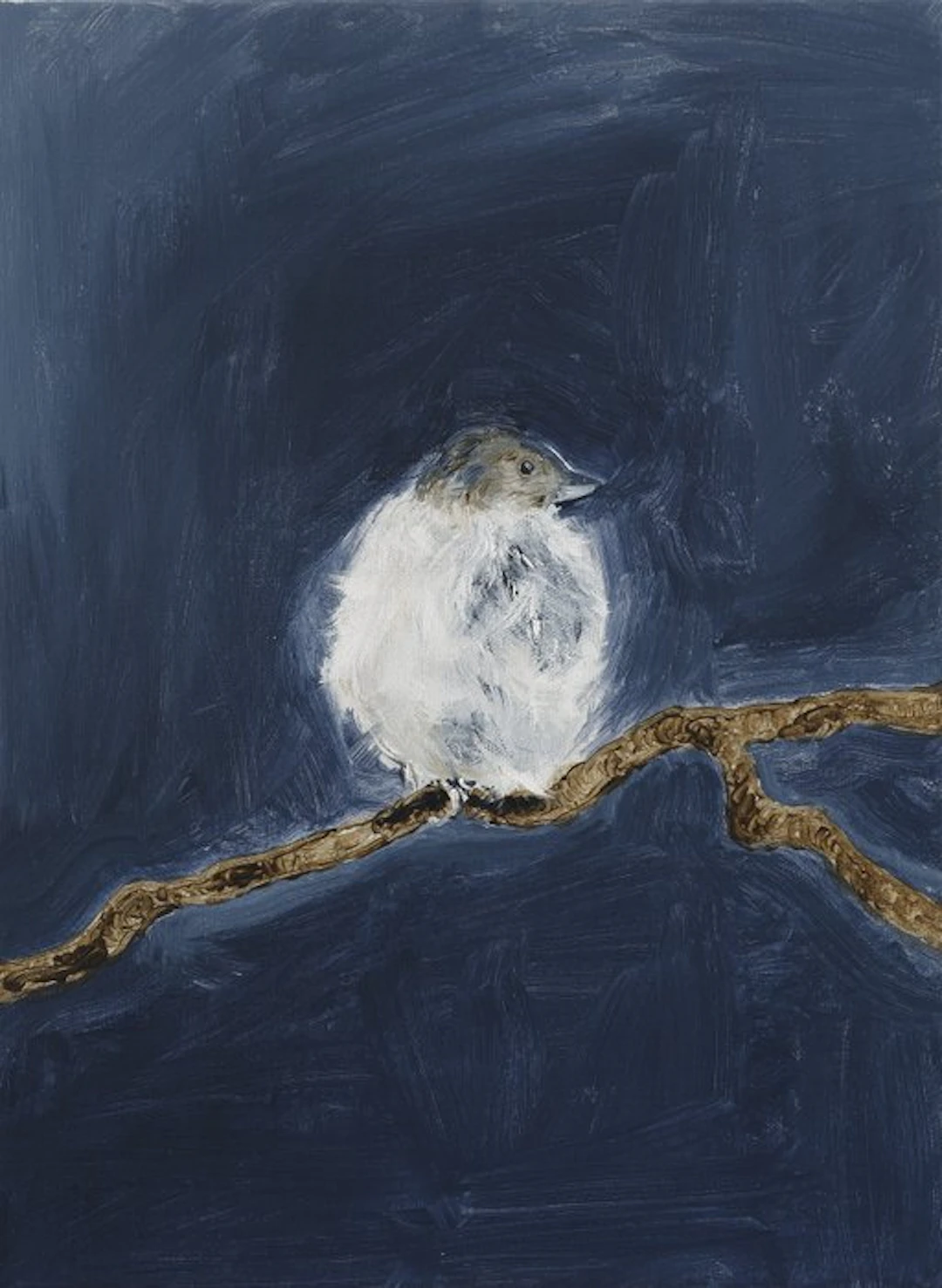 Matthieu van Riel - No Title