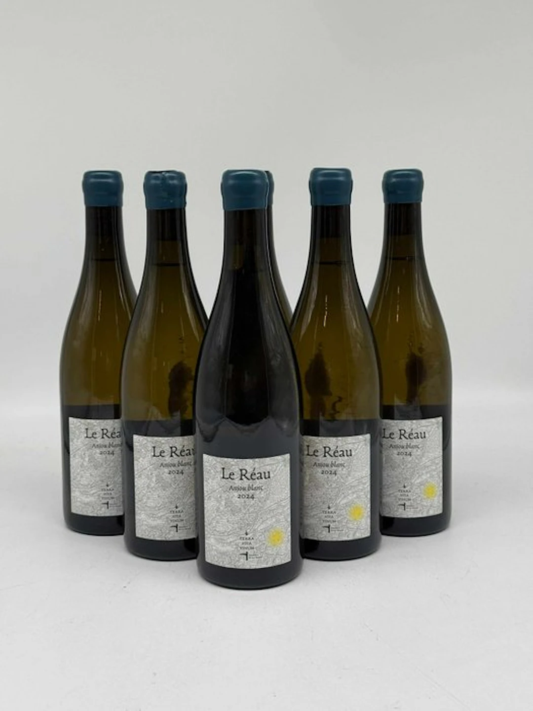 2024 Terra Vita Vinum Le Réau - Anjou - 6 Bottles (0.75L)