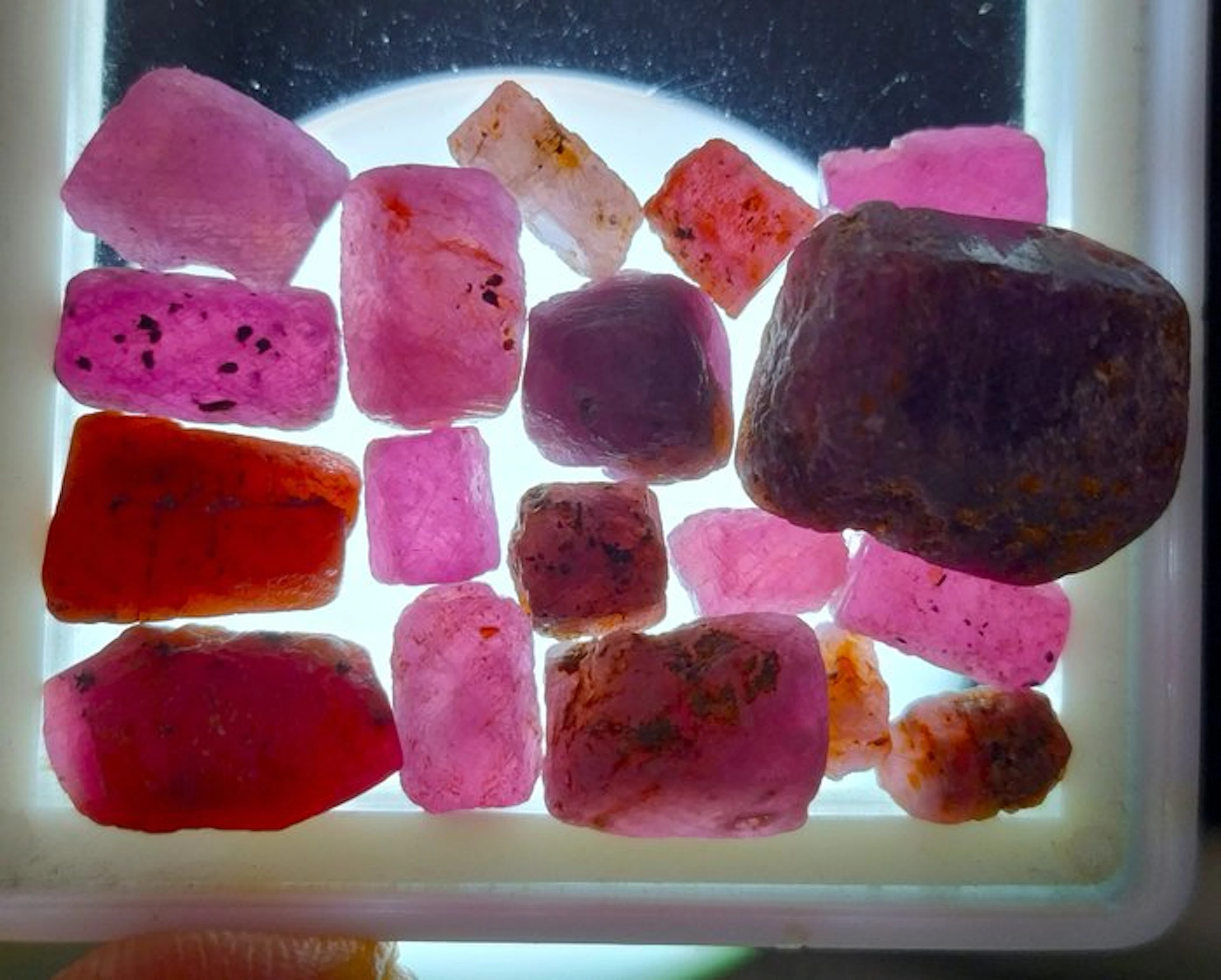 101 cts - Untreated Ruby - Rough- 20.2 g