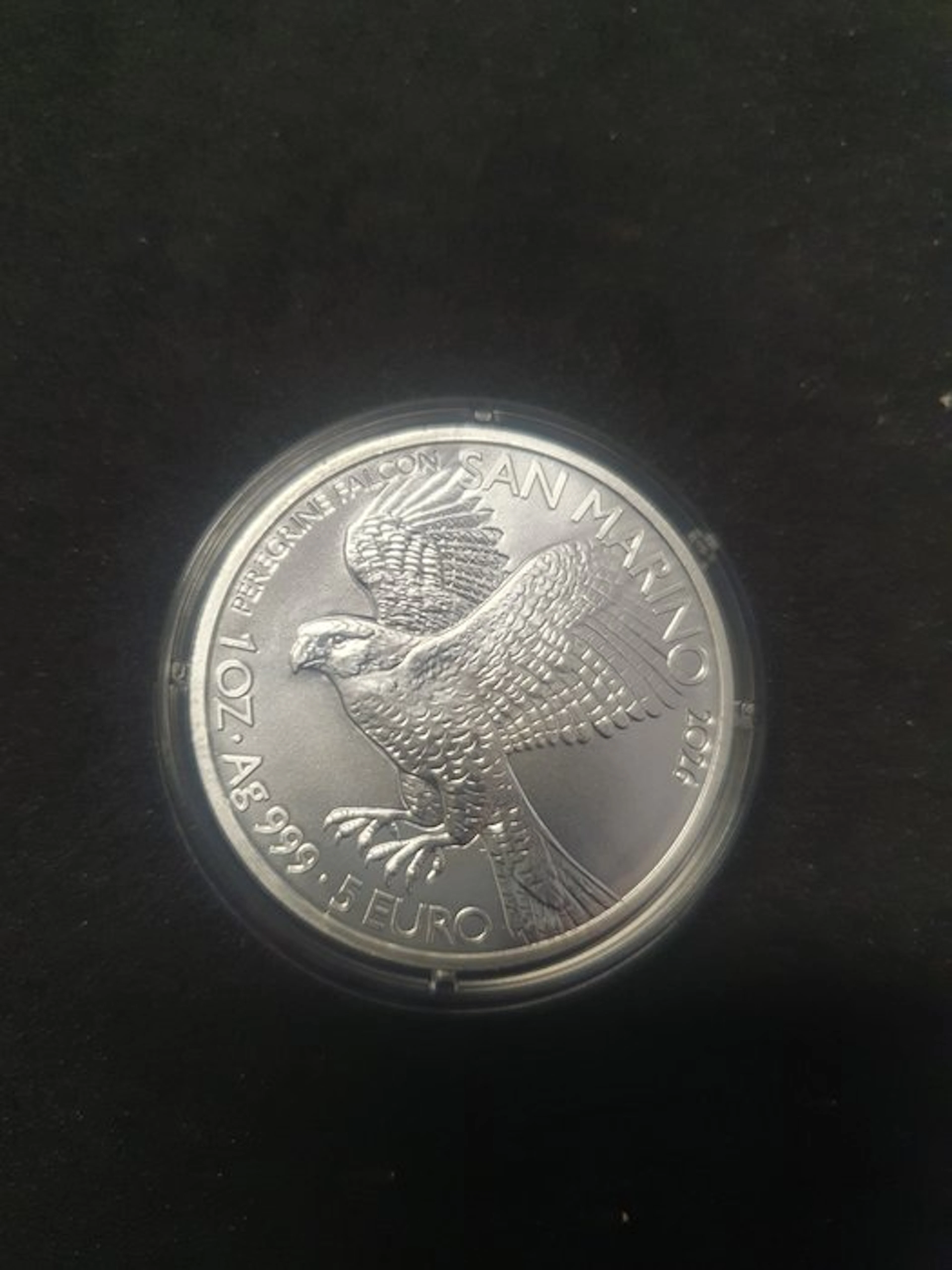San Marino. 5 Euro 2026 "Peregrine Falcon" (No reserve price)