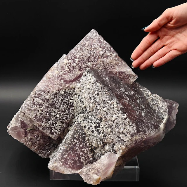 Giant cubes of twinned violet fluorite with quartz