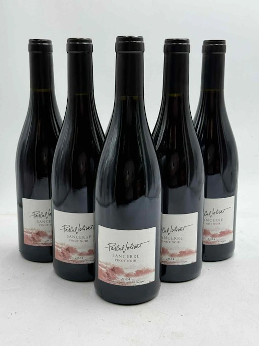 2024 Pascal Jolivet Sancerre Pinot Noir - Sancerre - 6 Bottles (0.75L)