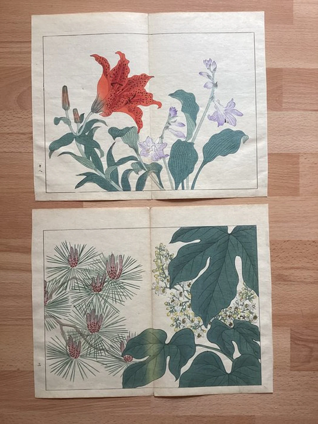 From the album "Shiki no hana" 四季の花 (Flowers of the Four Seasons)
