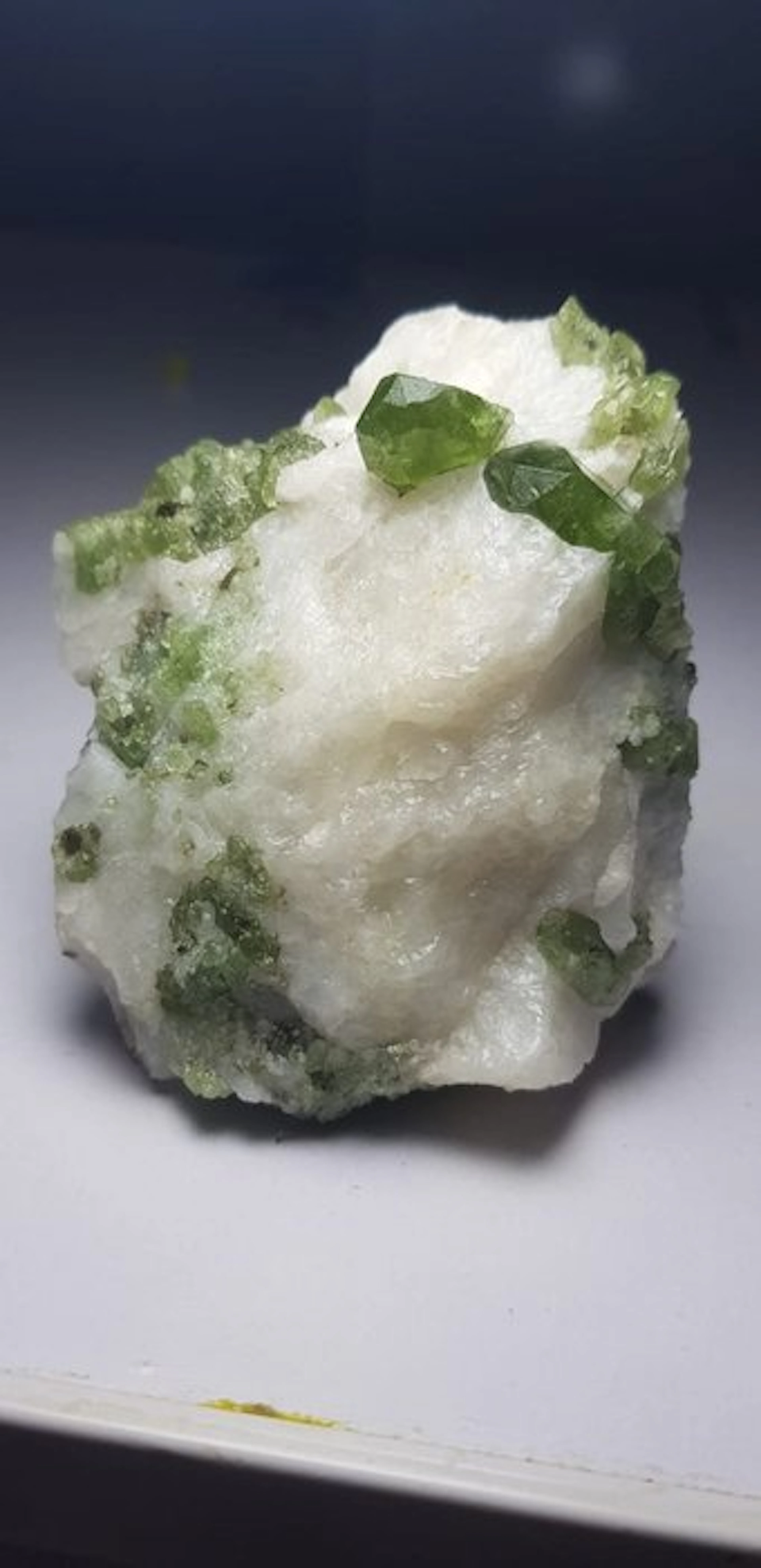 Stunning Diopside crystal on white marble Mineral...