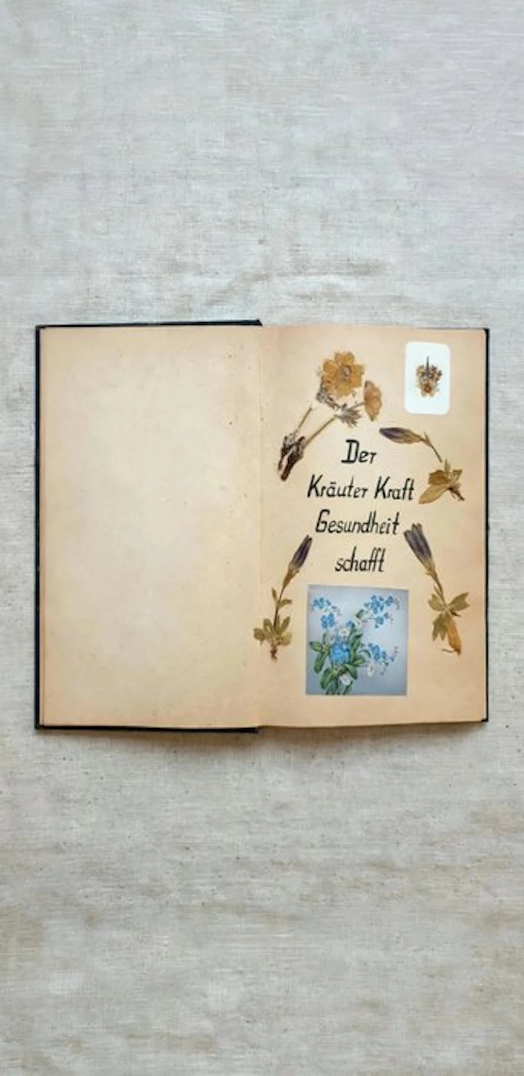 Roman Maschke - Herbarium farmaceutico tedesco - 1958