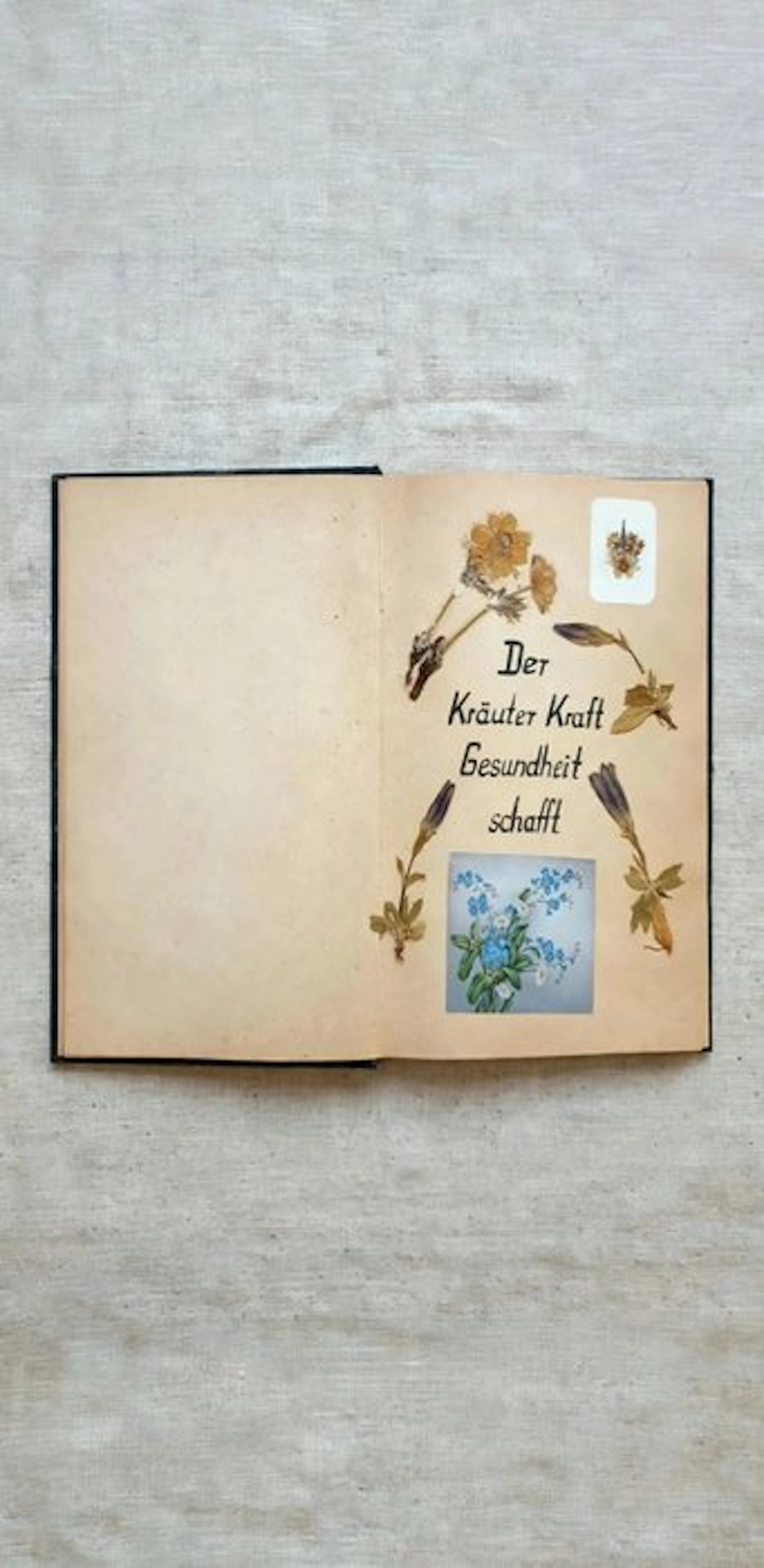 Roman Maschke - Herbarium farmaceutico tedesco - 1958