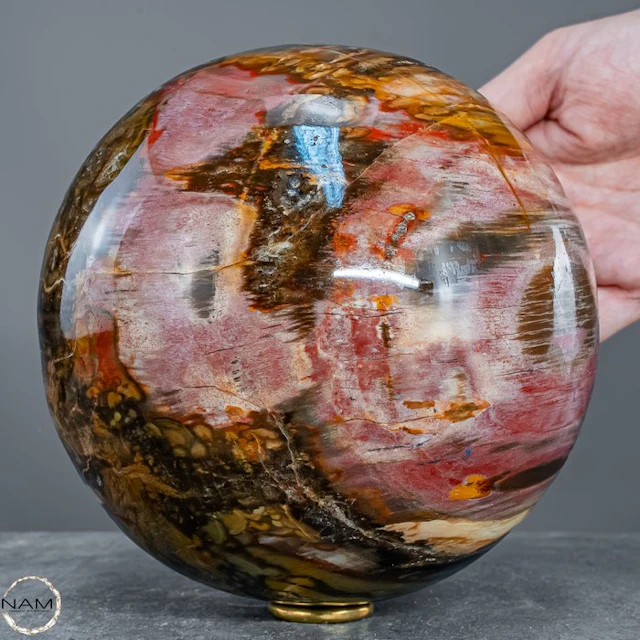 Natural petrified wood as a sphere – intense grain with...