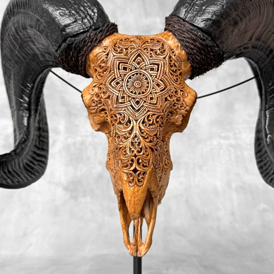 NO RESERVE PRICE -C- Authentic Carved Brown Ram Skull on...