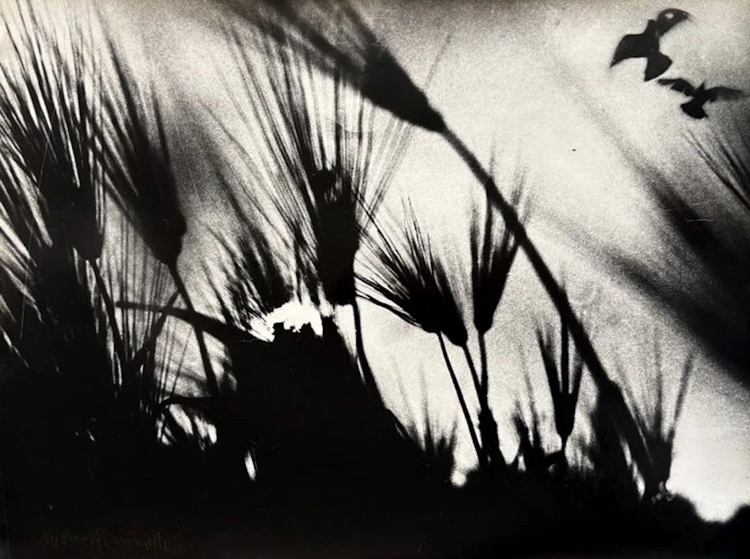 Mario Giacomelli (1925–2000) - Spoon River FIRMATA