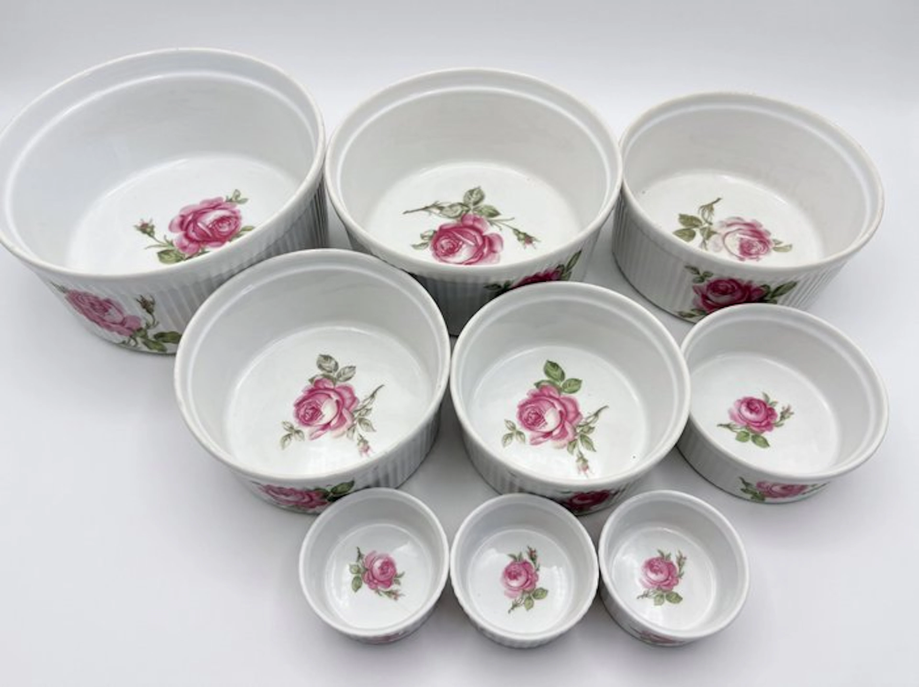 Limoges - albert pillivuyt - Serving dish (9) - Apilco - Porcelain