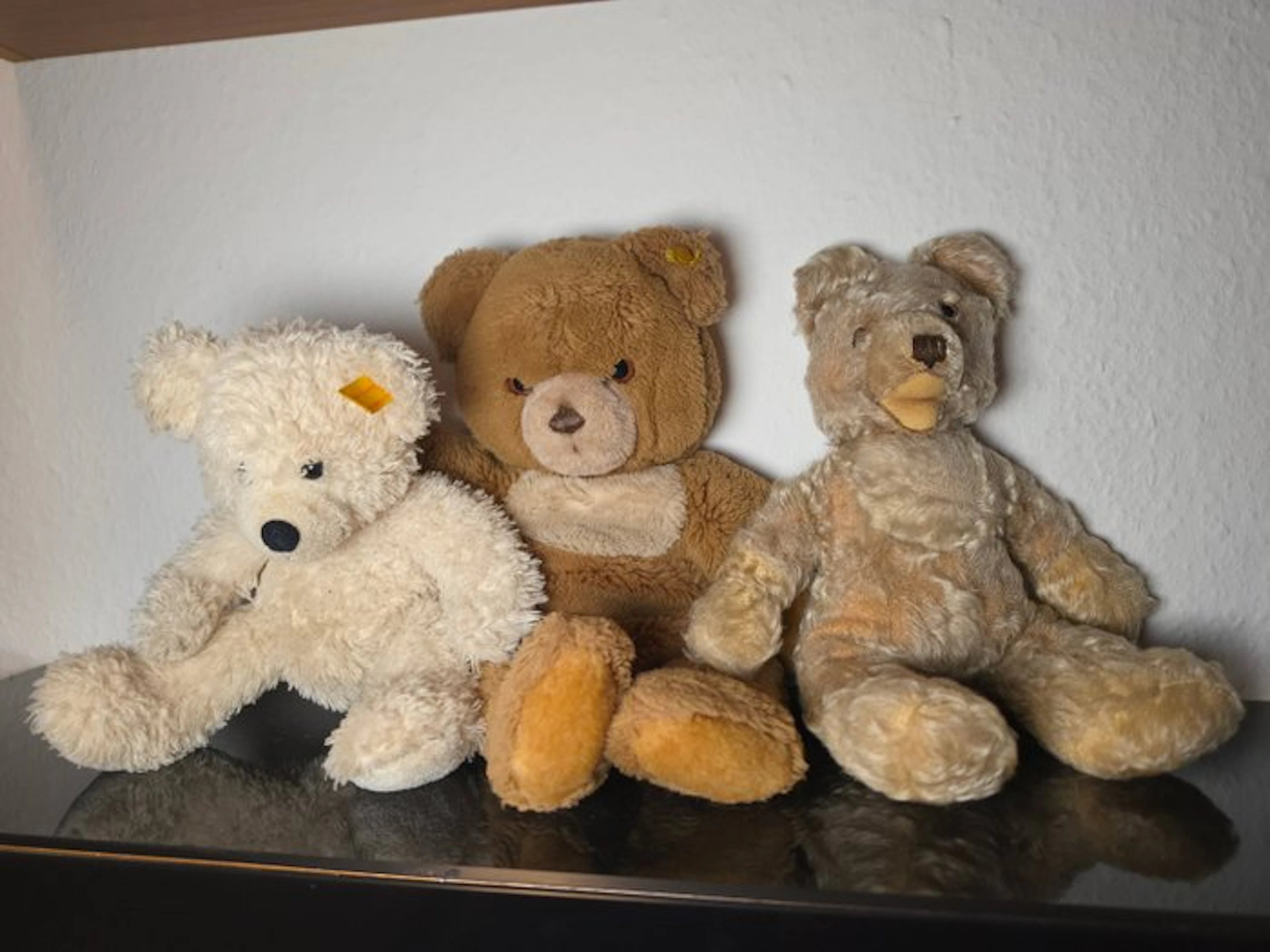 Steiff - Teddy bear Fynn,Zotty,Pesty - 1950-1960 - Germany