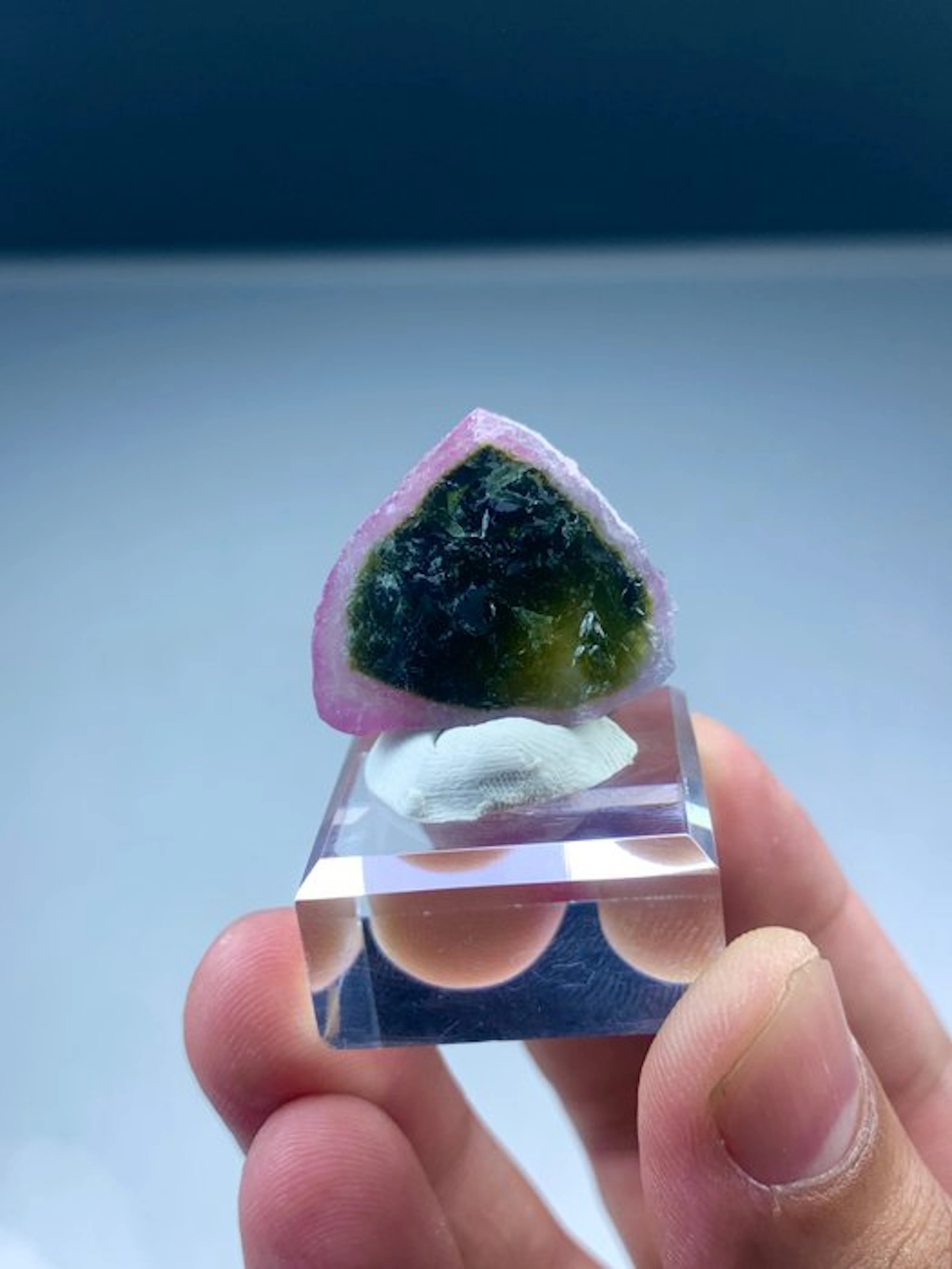 Bicolour tourmaline Slices - Height: 22 mm - Width: 22 mm- 9 g - (1)