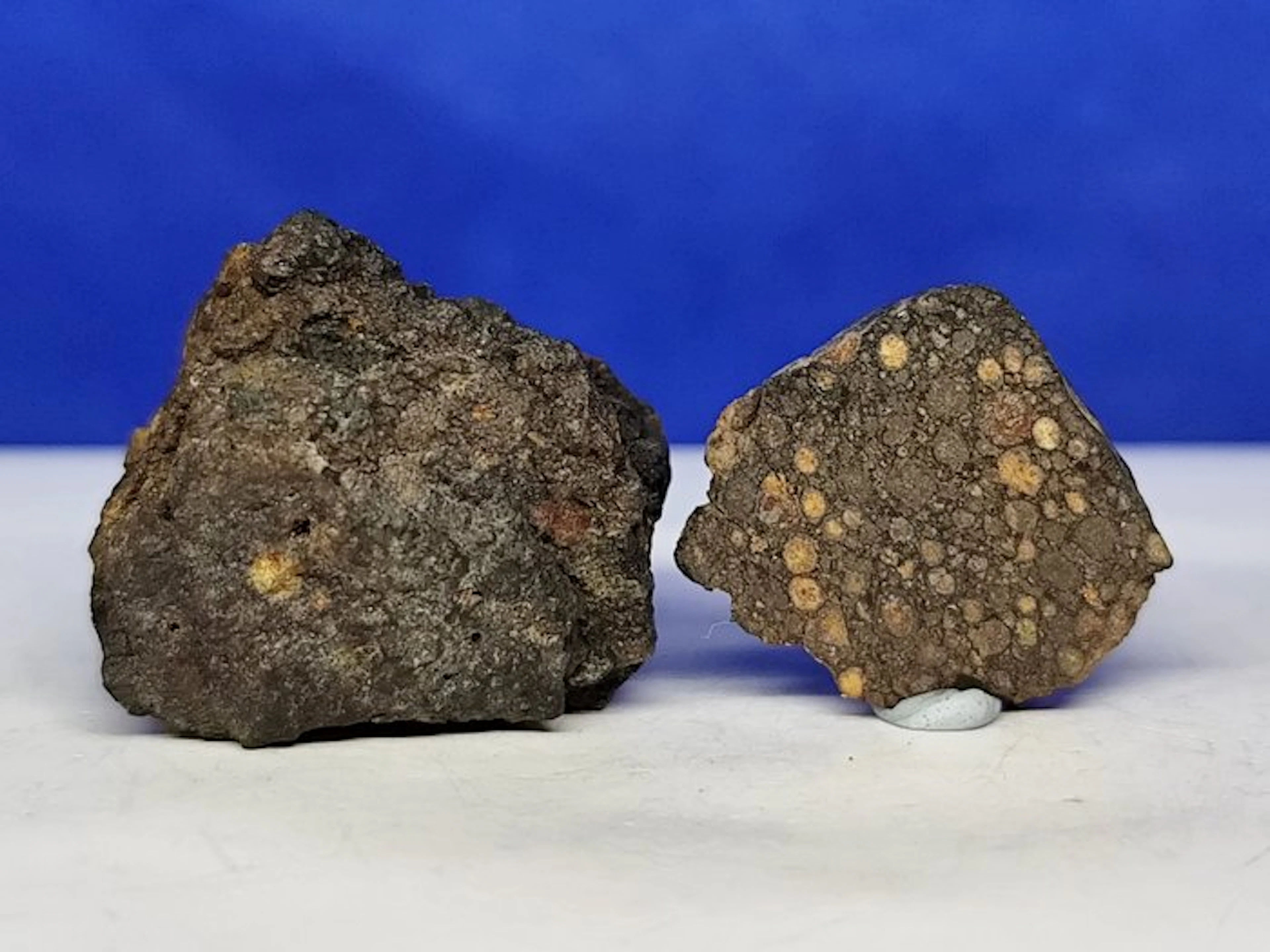 Slice & Complete- RARE METEORITE CR2 -Carbonaceous...