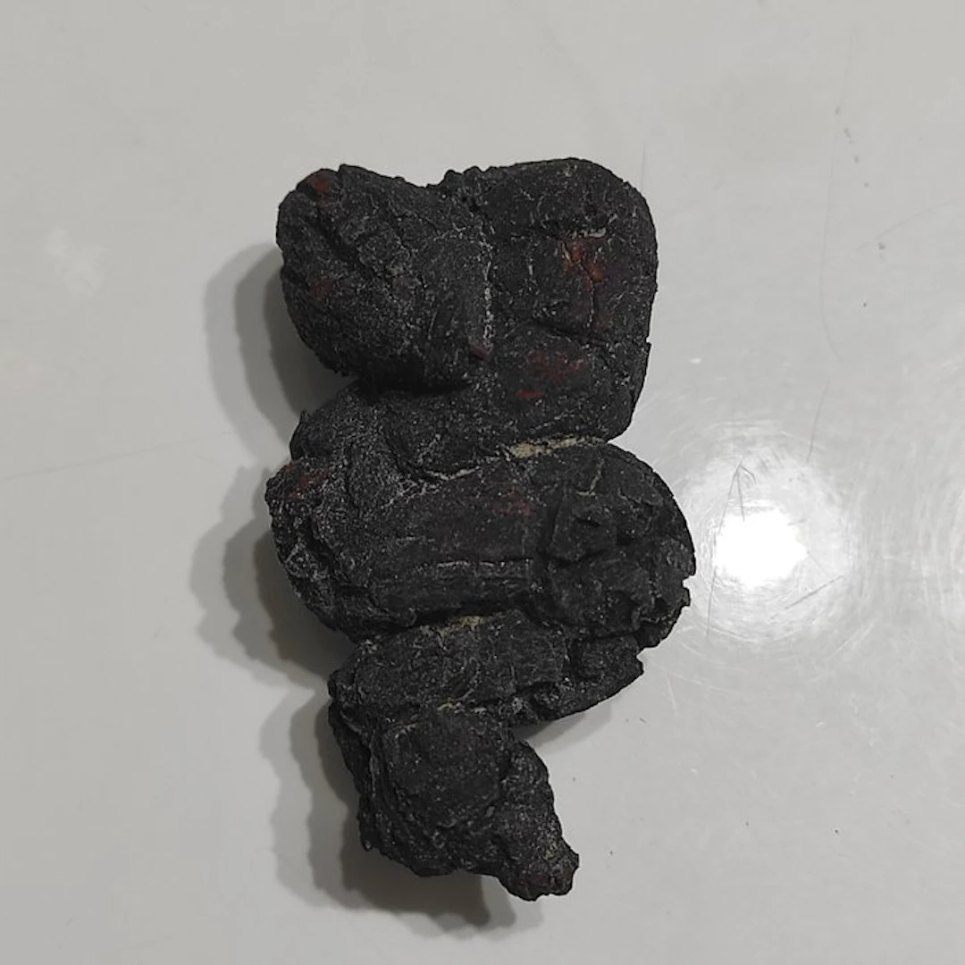 Coprolite Fossil - Height: 3 cm - Width: 4 cm- 80 g - (1)
