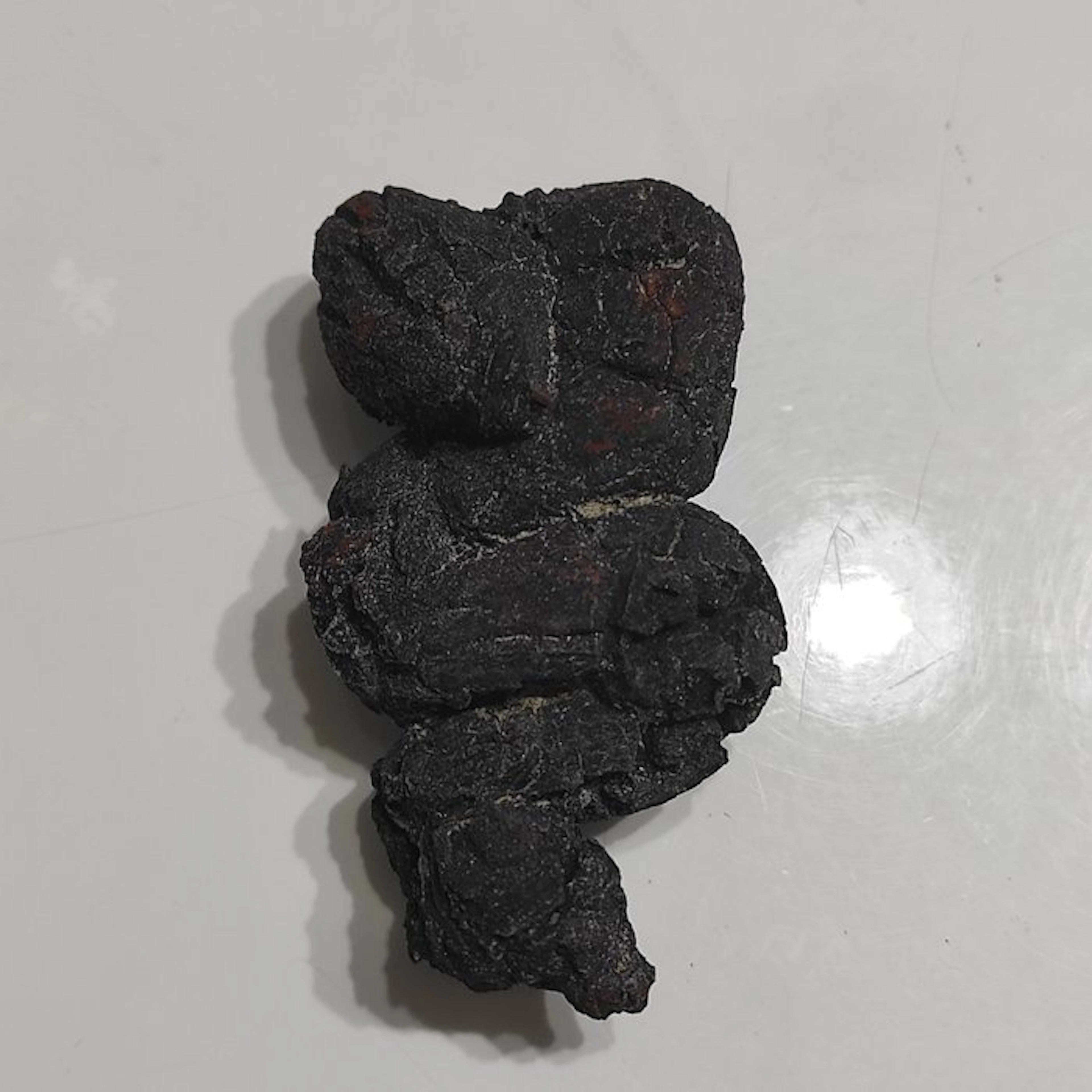 Coprolite Fossil - Height: 3 cm - Width: 4 cm- 80 g - (1)
