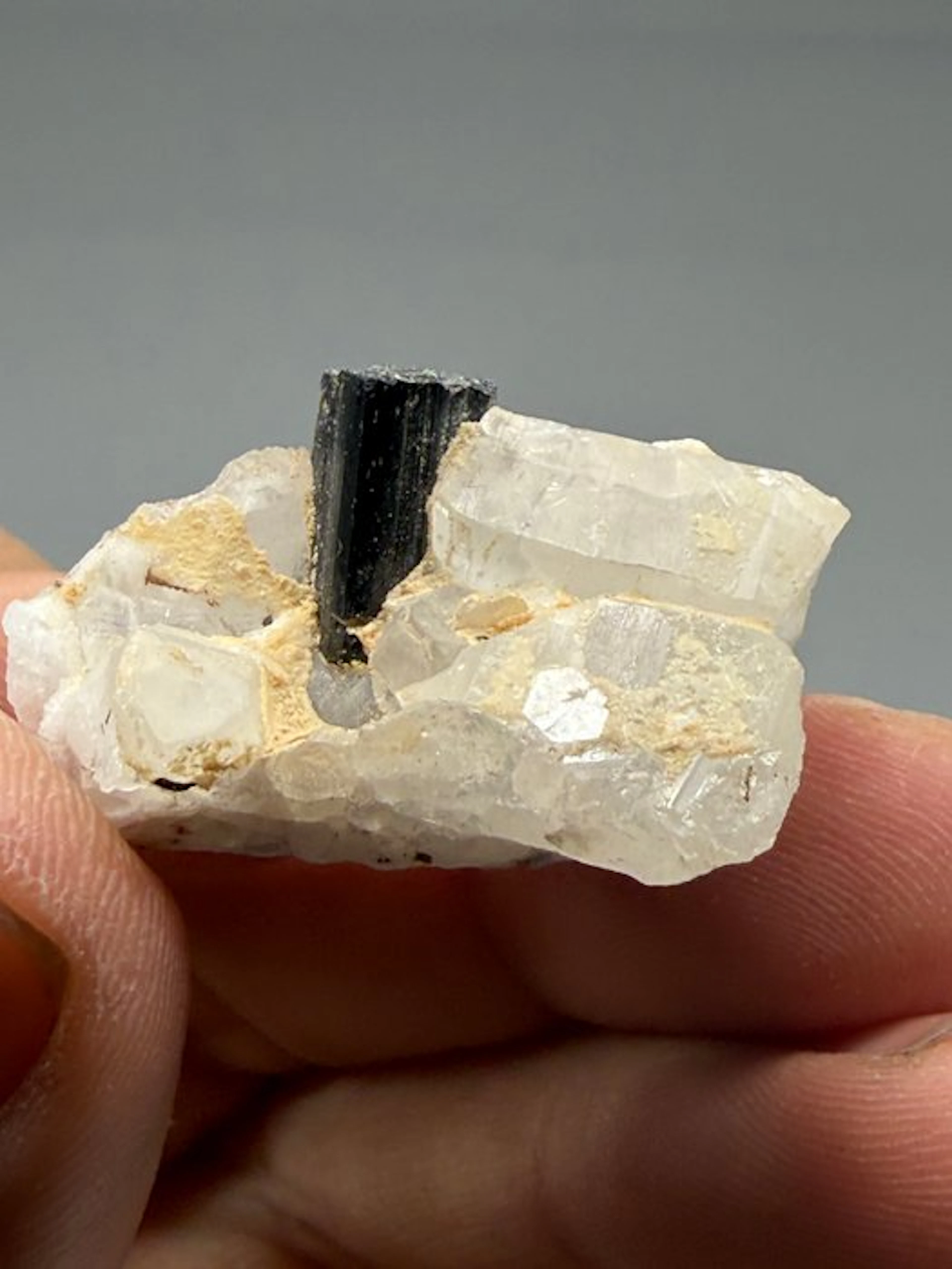 Black tourmaline on quartz Specimen- 19 g - (1)