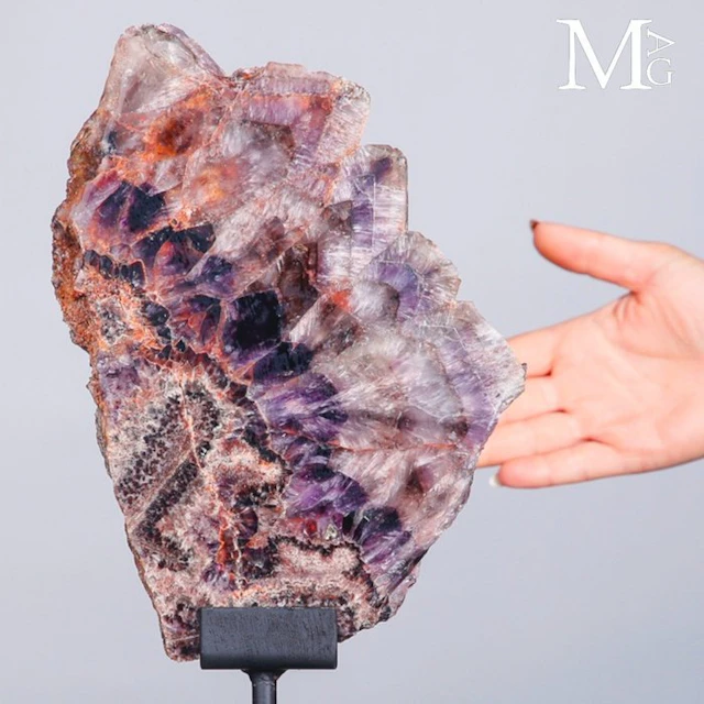 Spectacular Chevron Amethyst Slice - Intense Violet and...