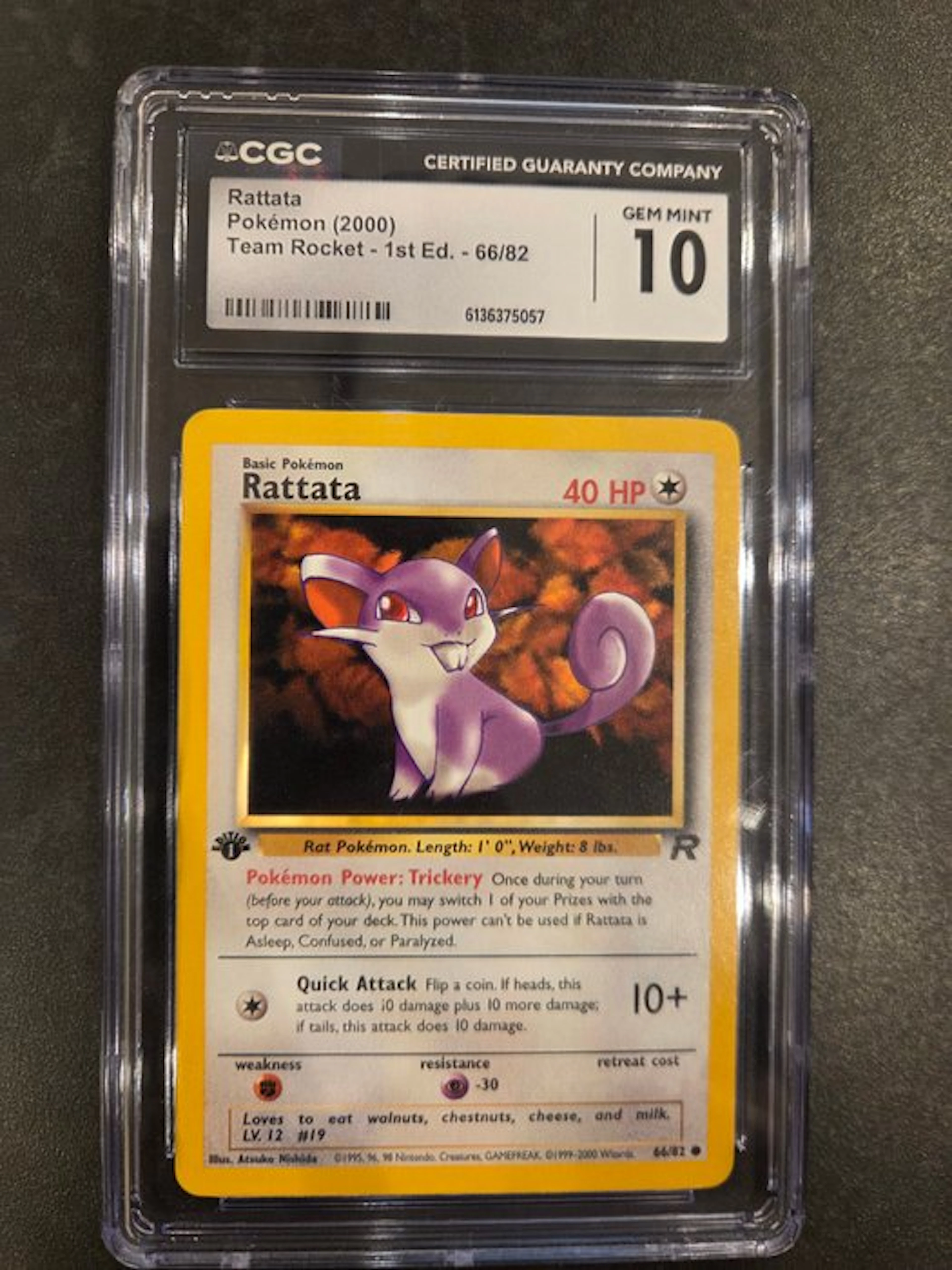Pokémon - 1 Graded card - Rattata 66/82 First edition, Foil - CGC 10