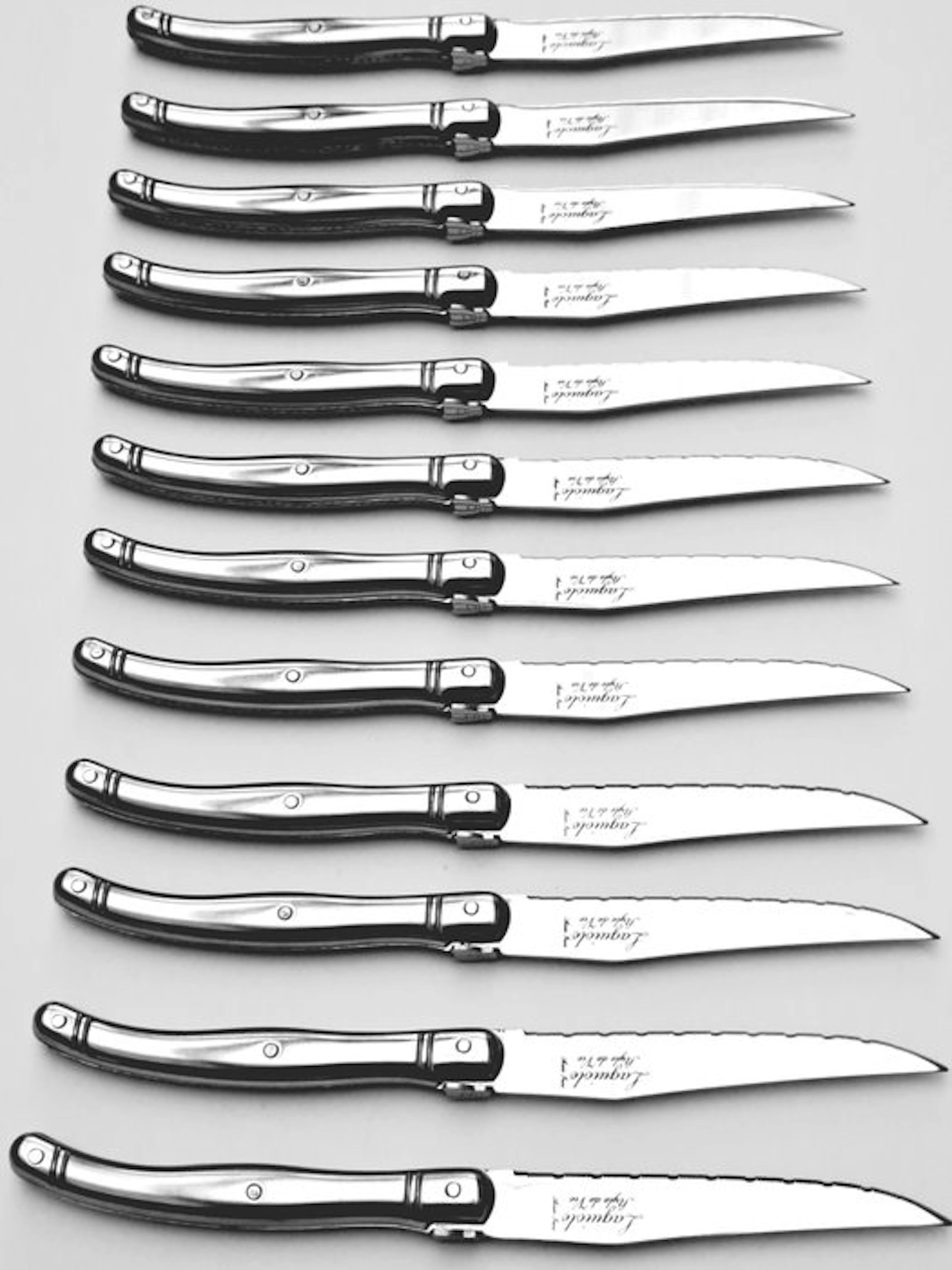 Laguiole - 12x Steak Knives - Completely Stainless Steel...