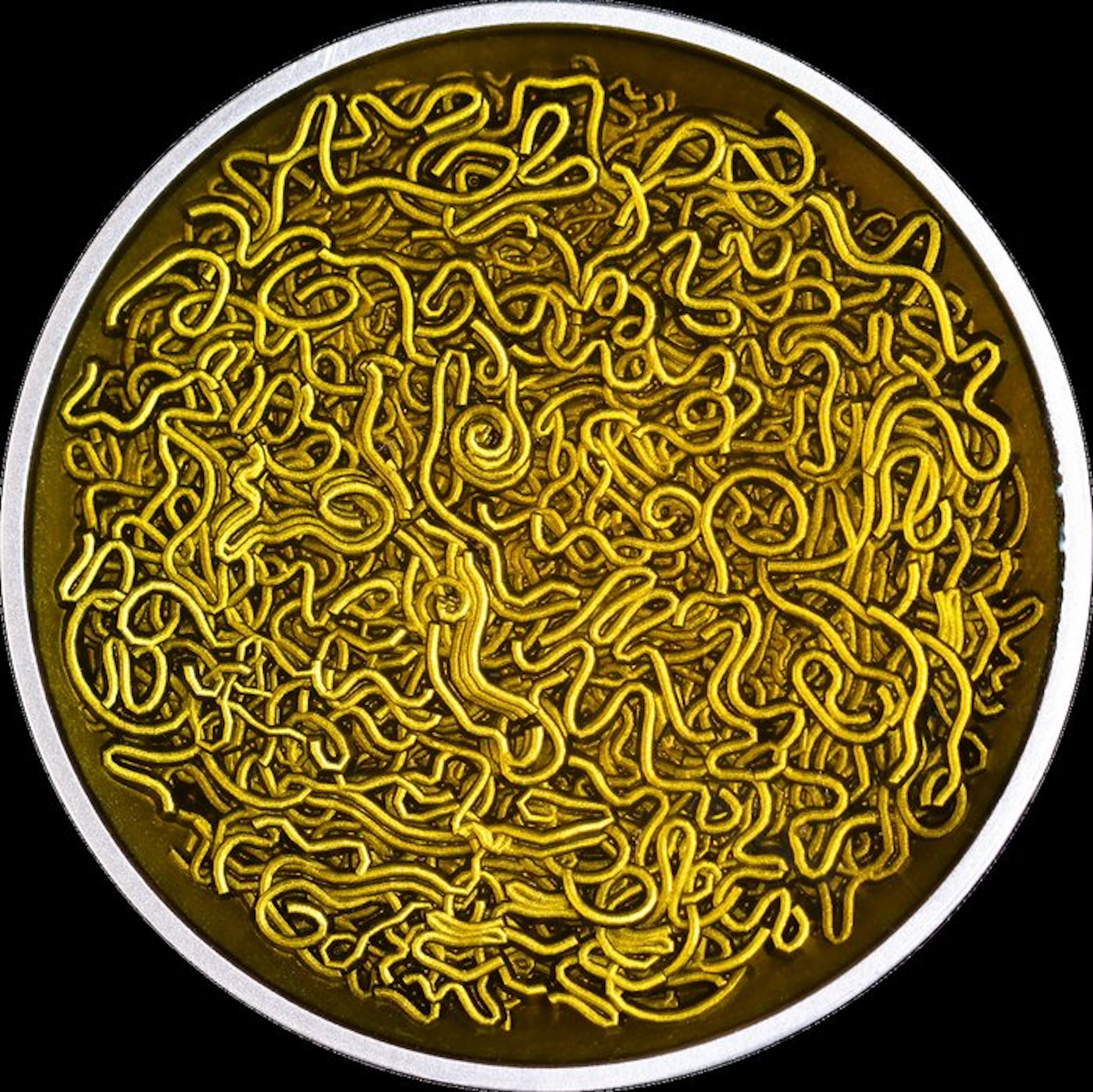 Cameroon. 2000 Francs 2025 Instant Noodle, 2 Oz (.999)