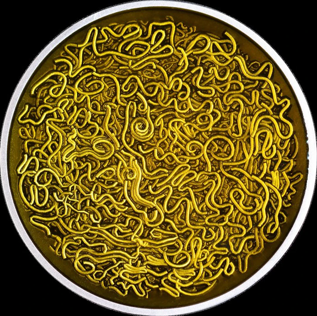 Cameroon. 2000 Francs 2025 Instant Noodle, 2 Oz (.999)