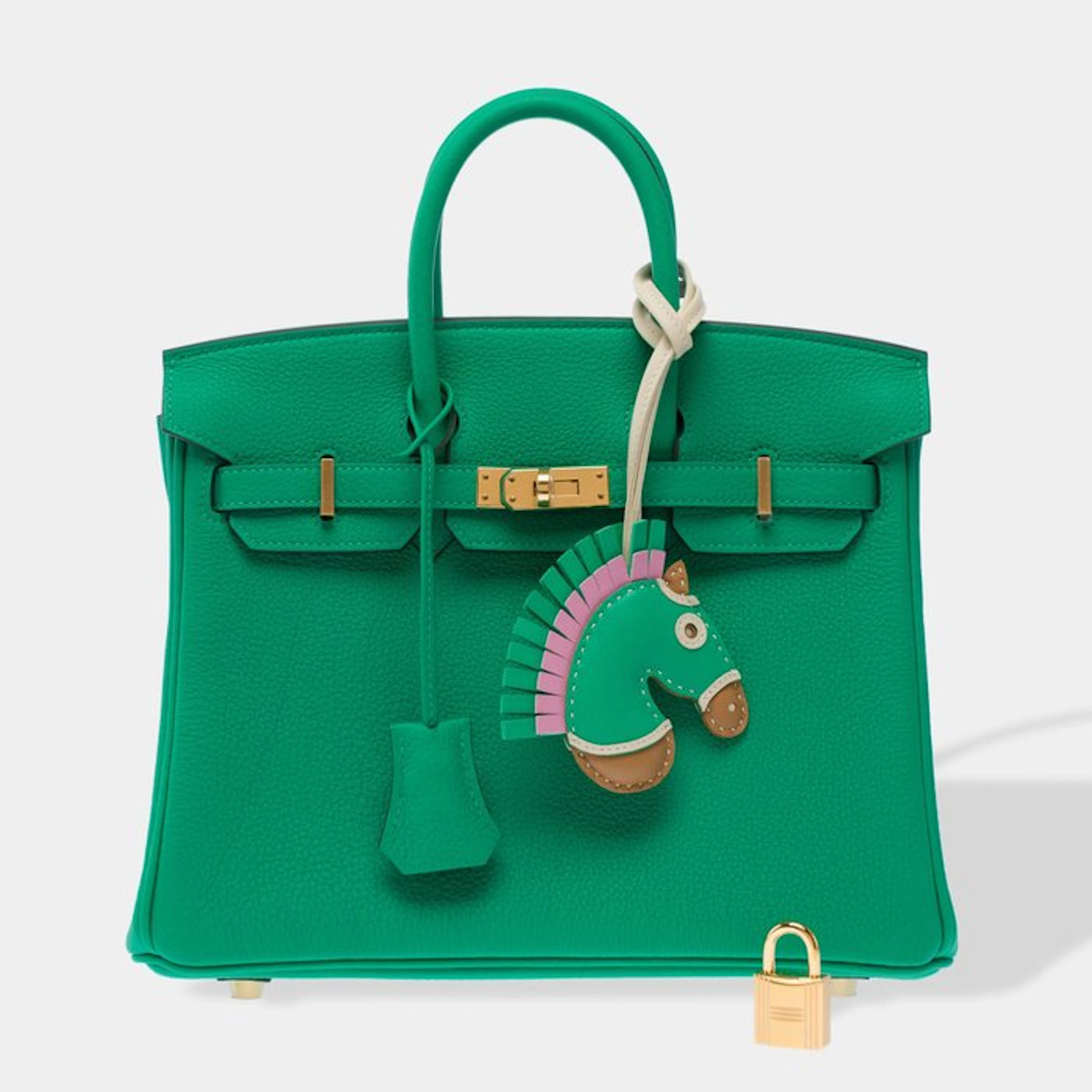 Hermès - Birkin 25 - Handbag