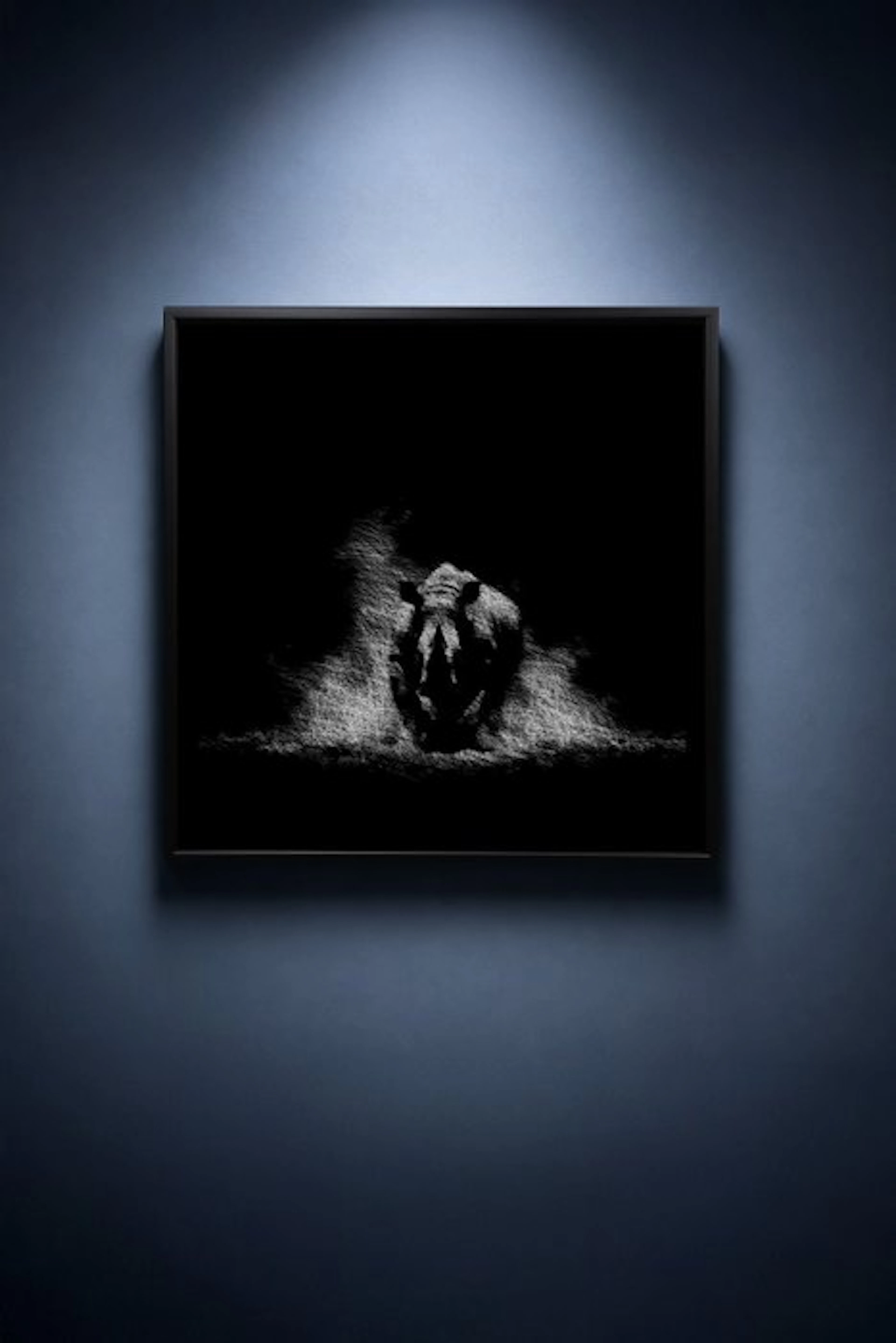 Tijs Dragtsma (1992) - Thunder Cut From Dust