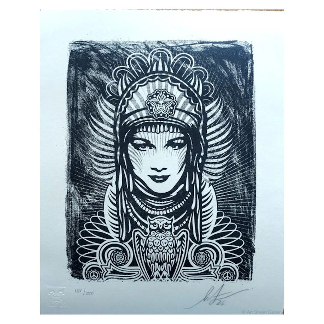 Shepard Fairey (OBEY) (1970) - Shepard Fairey (OBEY)...