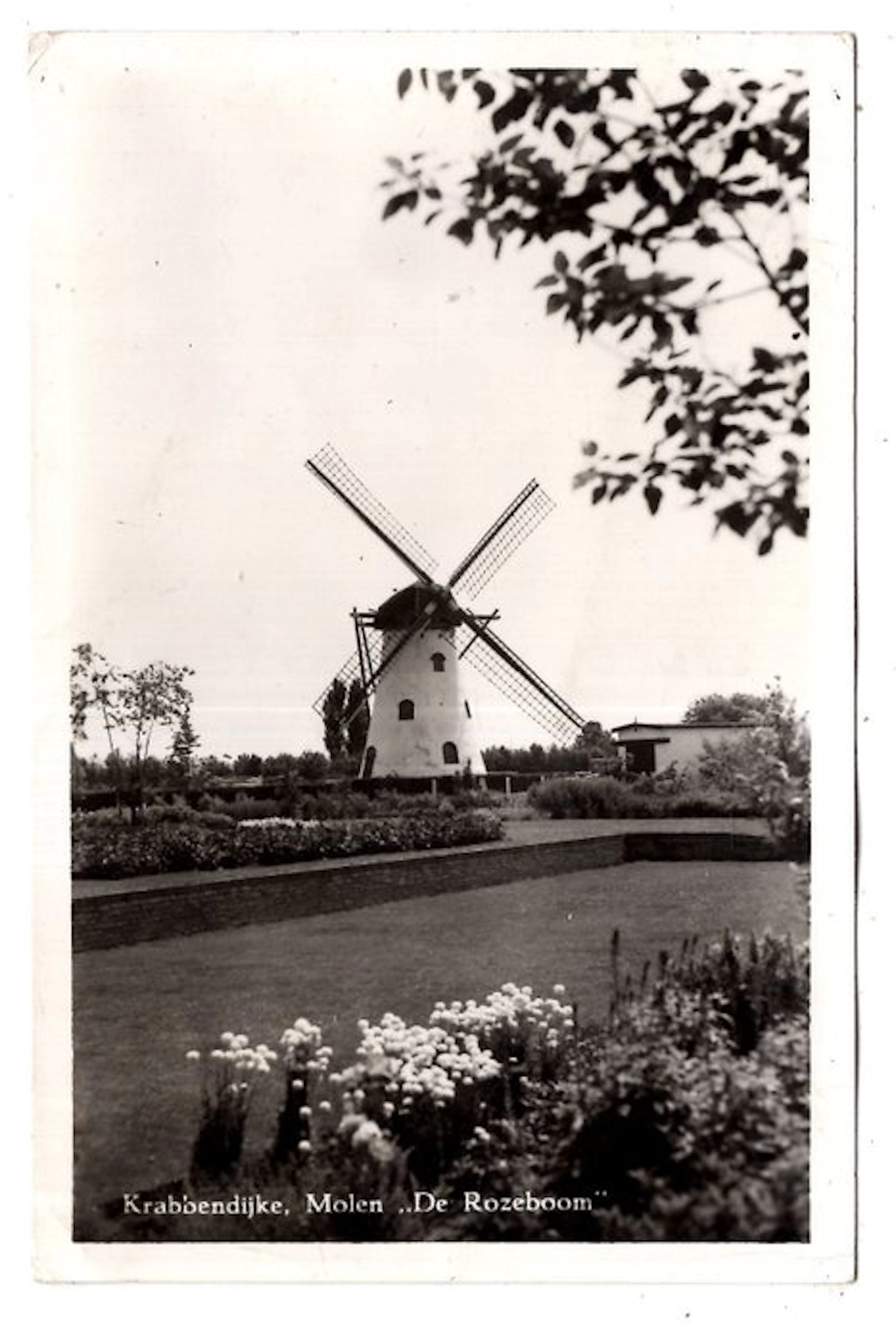 Netherlands - Netherlands: beautiful collection of windmill postcards