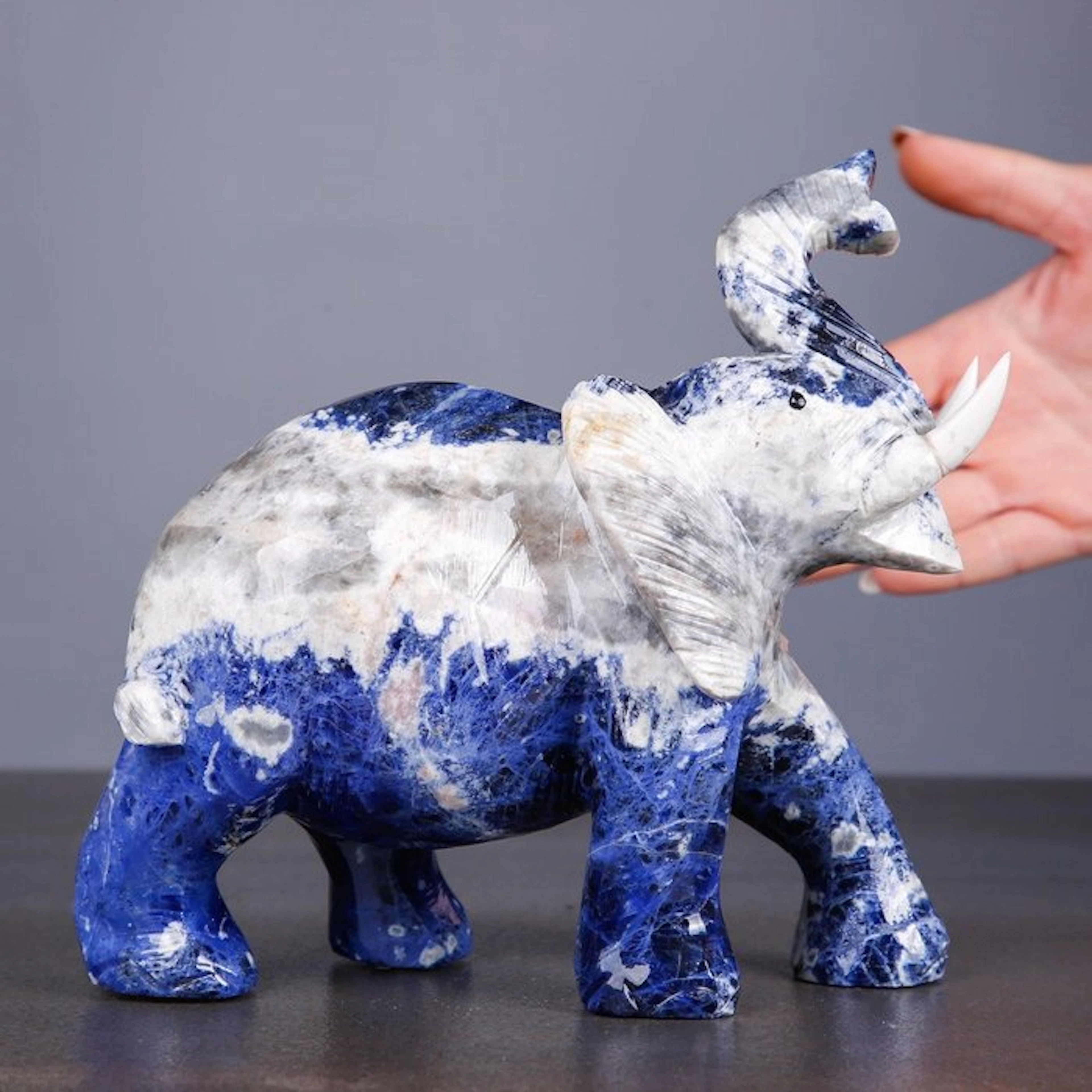 Exquisite Deep Blue and White Sodalite - Hand-Carved...