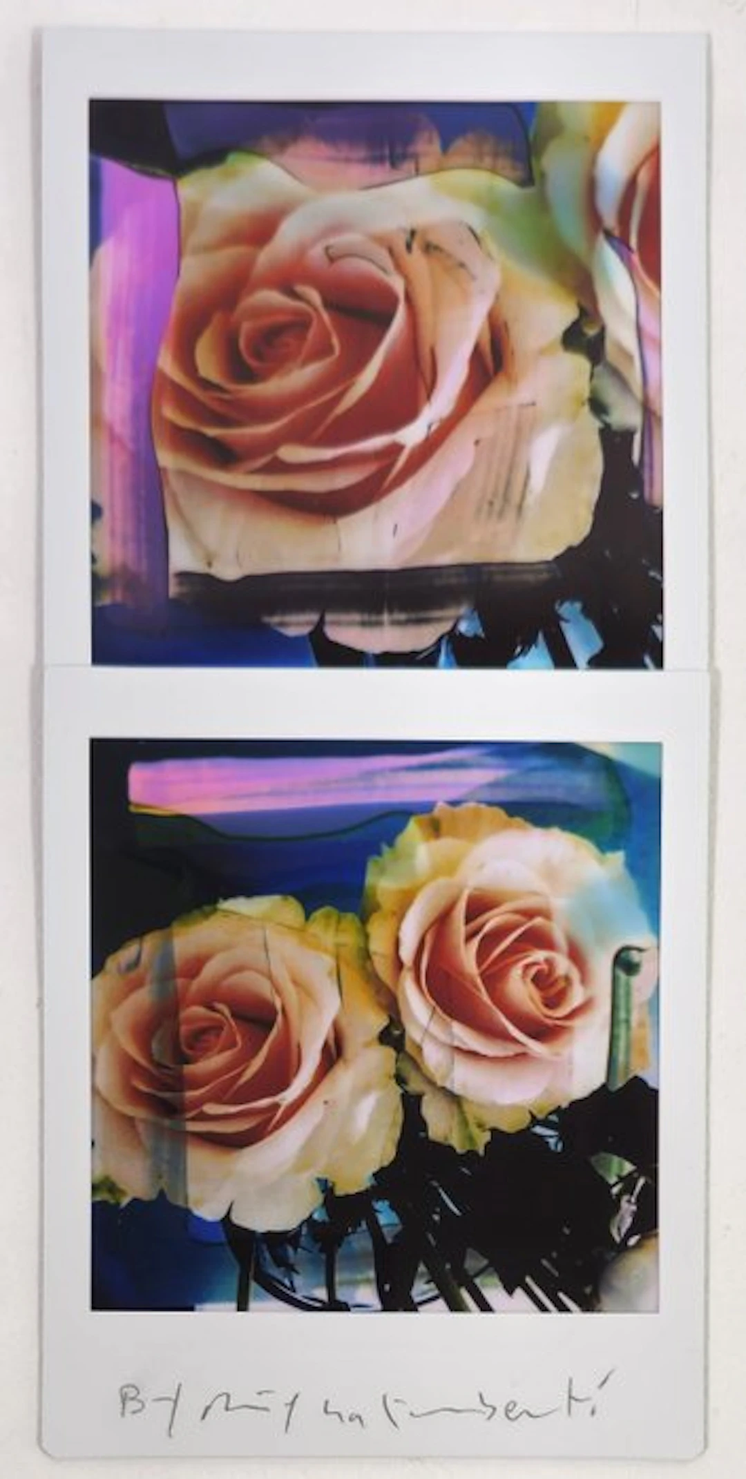 Maurizio Galimberti (1956–) - BiFlowers - 11634